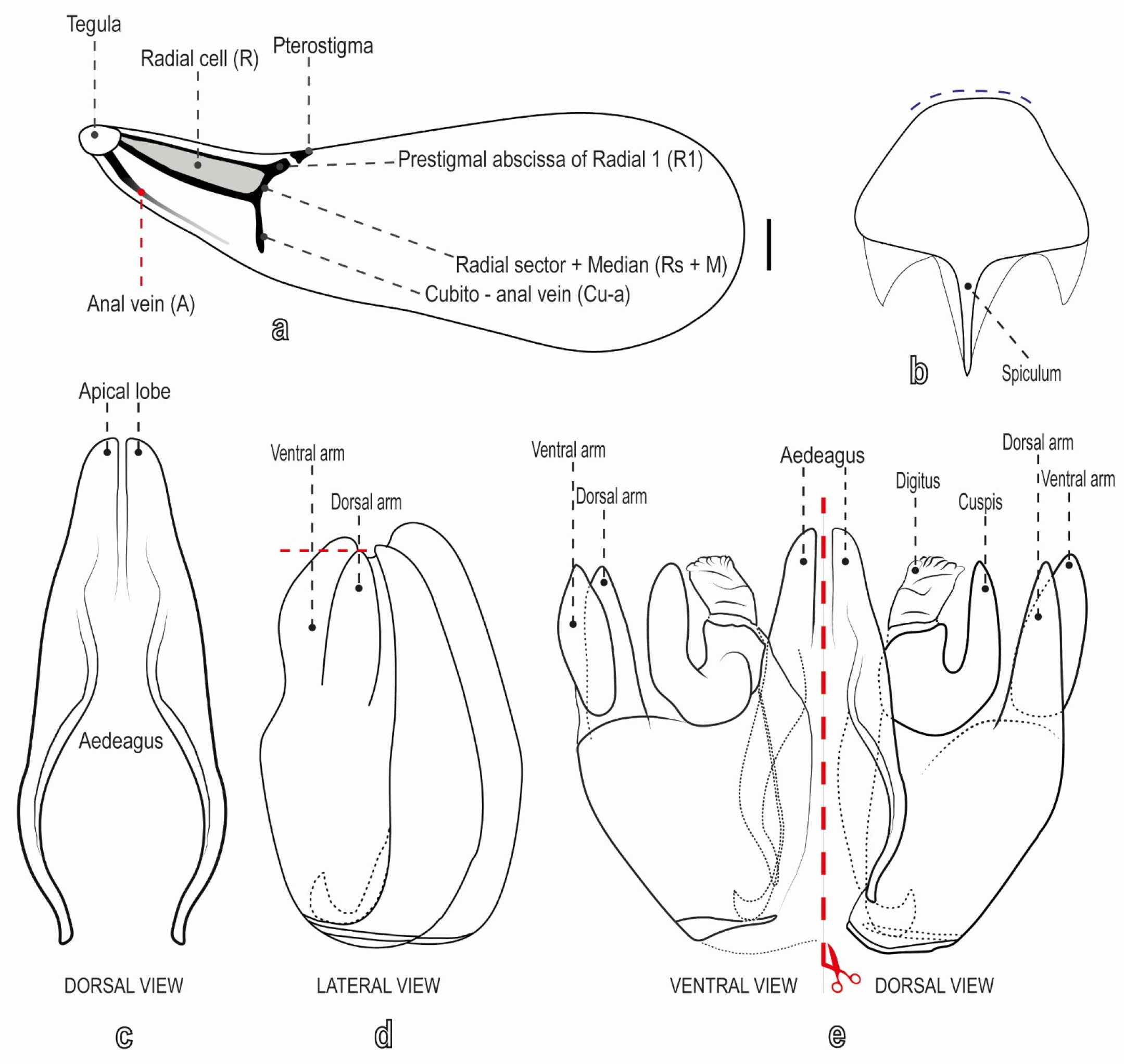 Diversity 17 00611 g002 Diversity 17 00611 g002