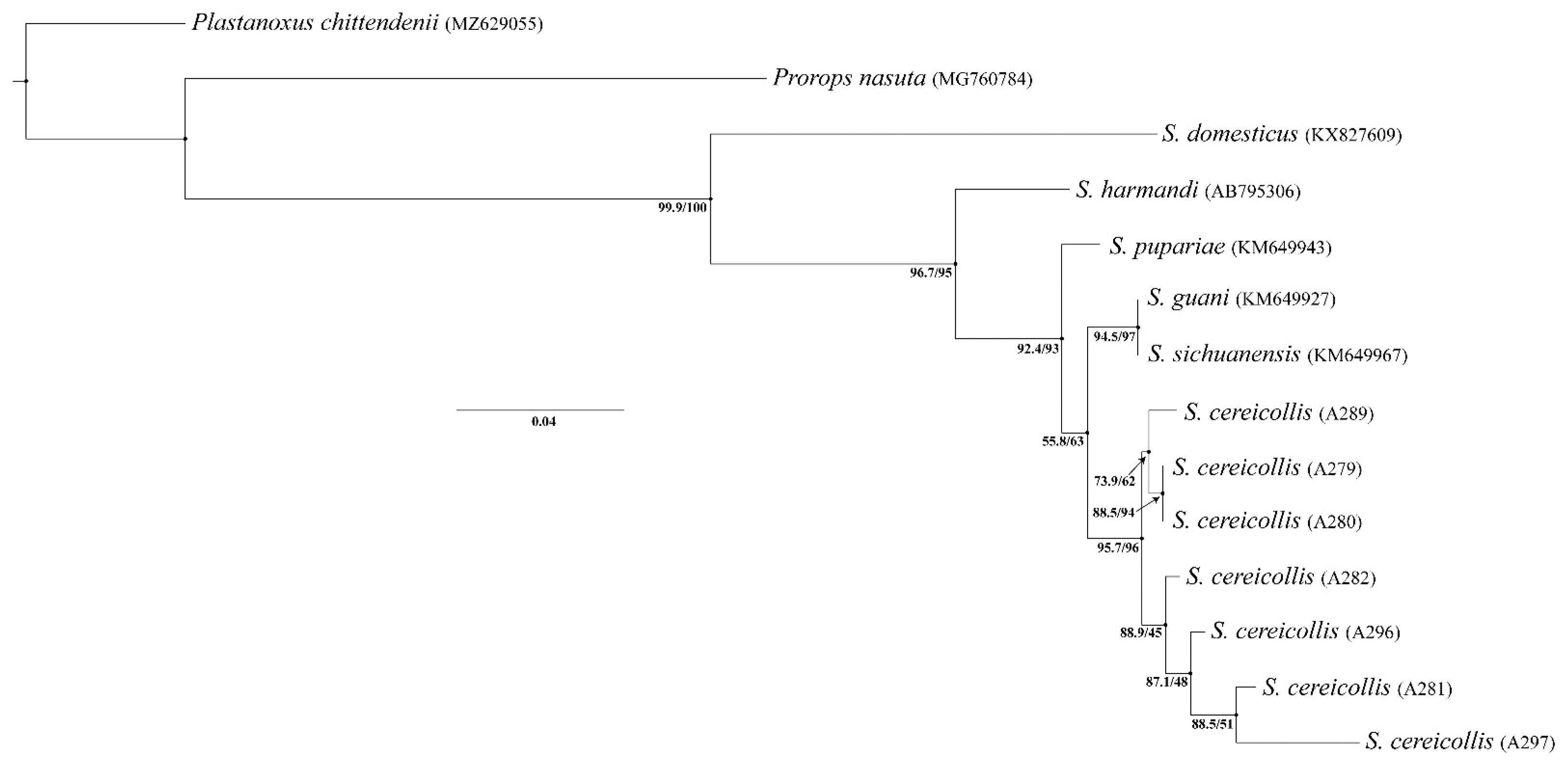 Diversity 17 00611 g013 Diversity 17 00611 g013