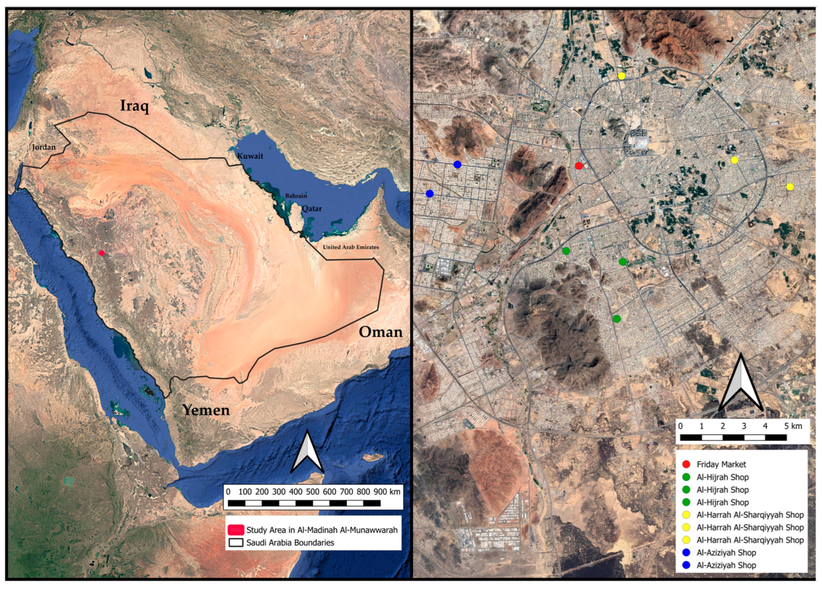 Diversity 17 00615 g001 Diversity 17 00615 g001