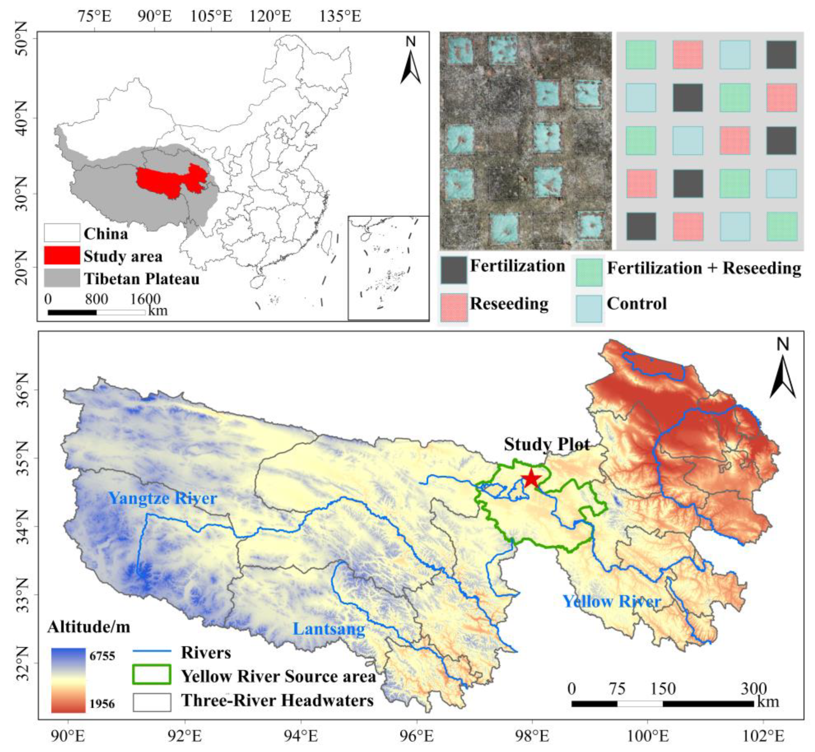 Diversity 17 00617 g001