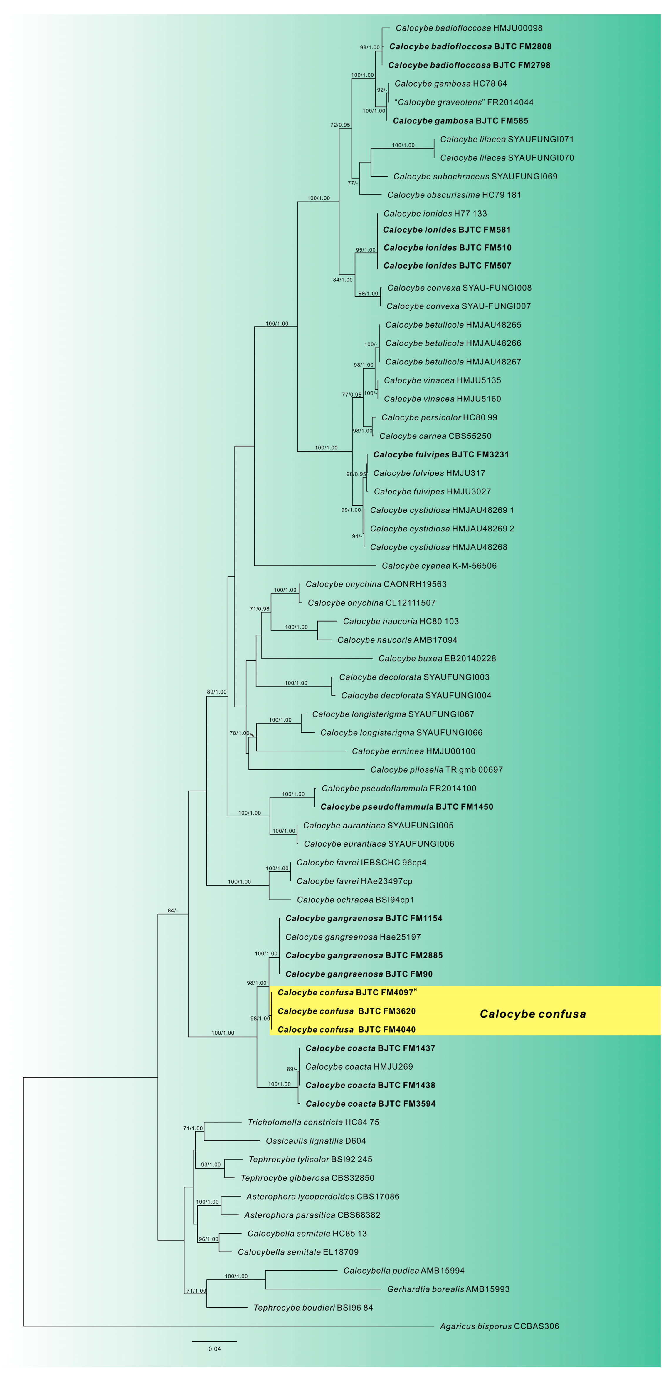 Diversity 17 00619 g001