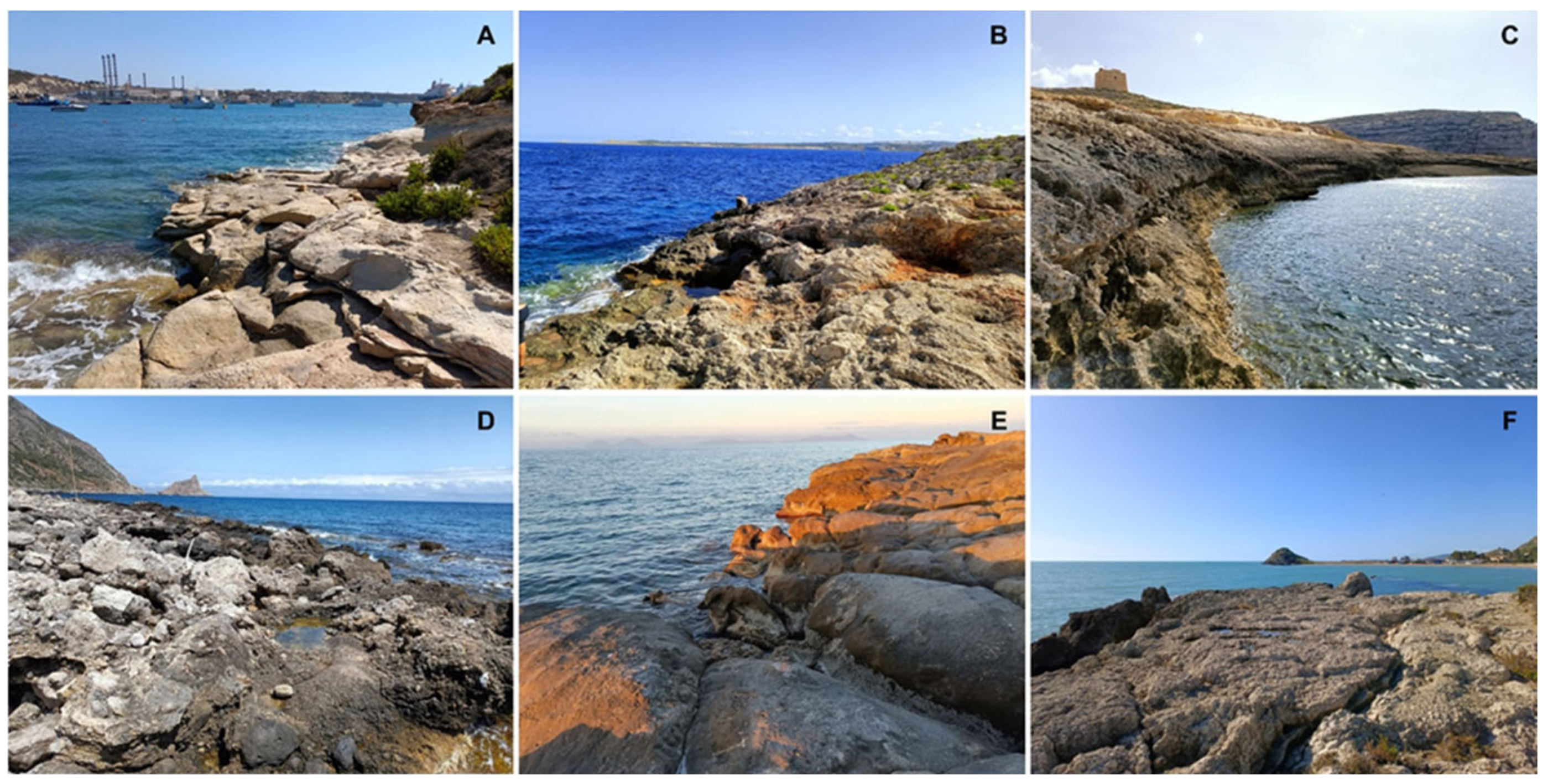 Diversity 17 00622 g002 Diversity 17 00622 g002