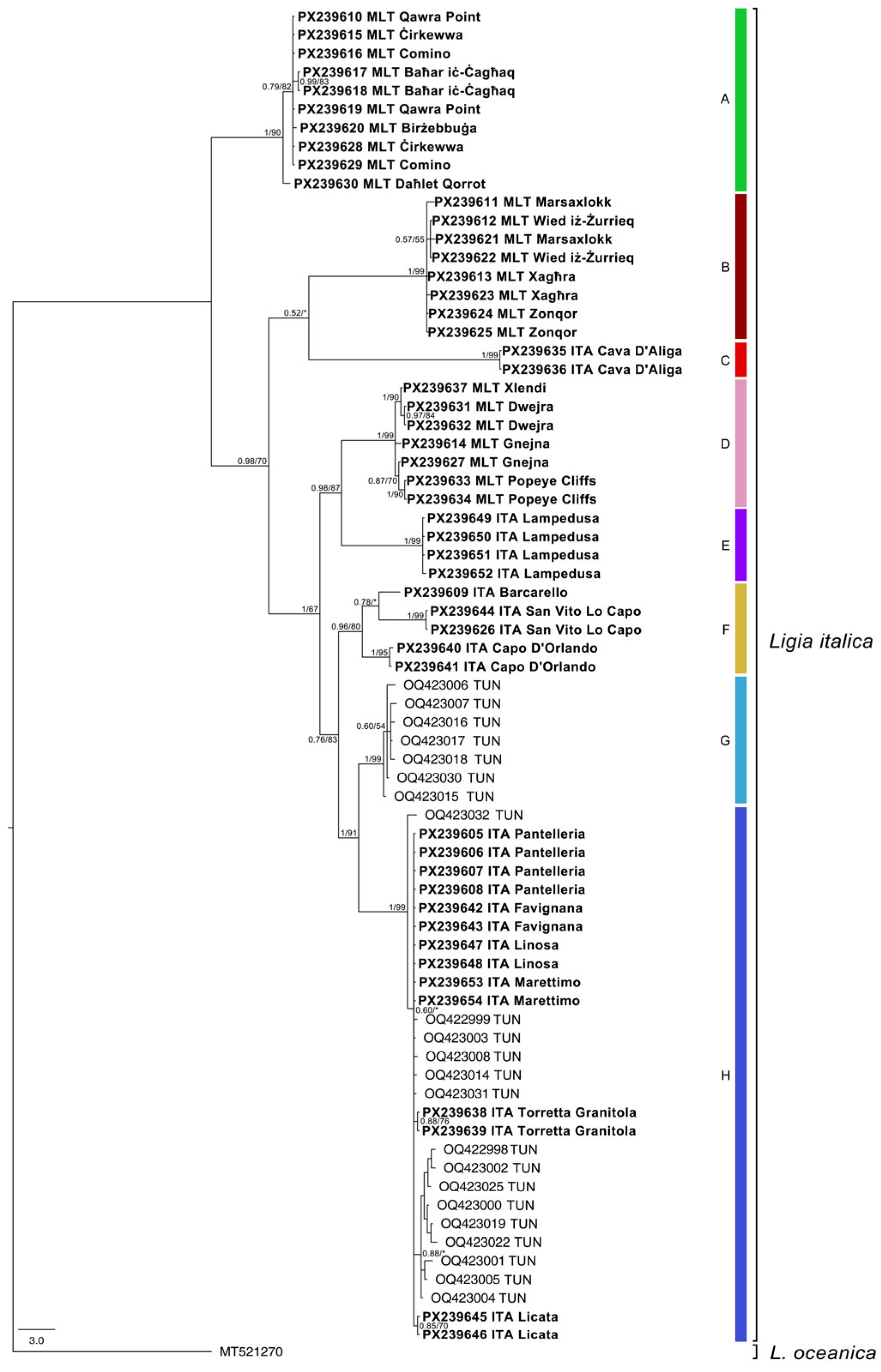 Diversity 17 00622 g003 Diversity 17 00622 g003