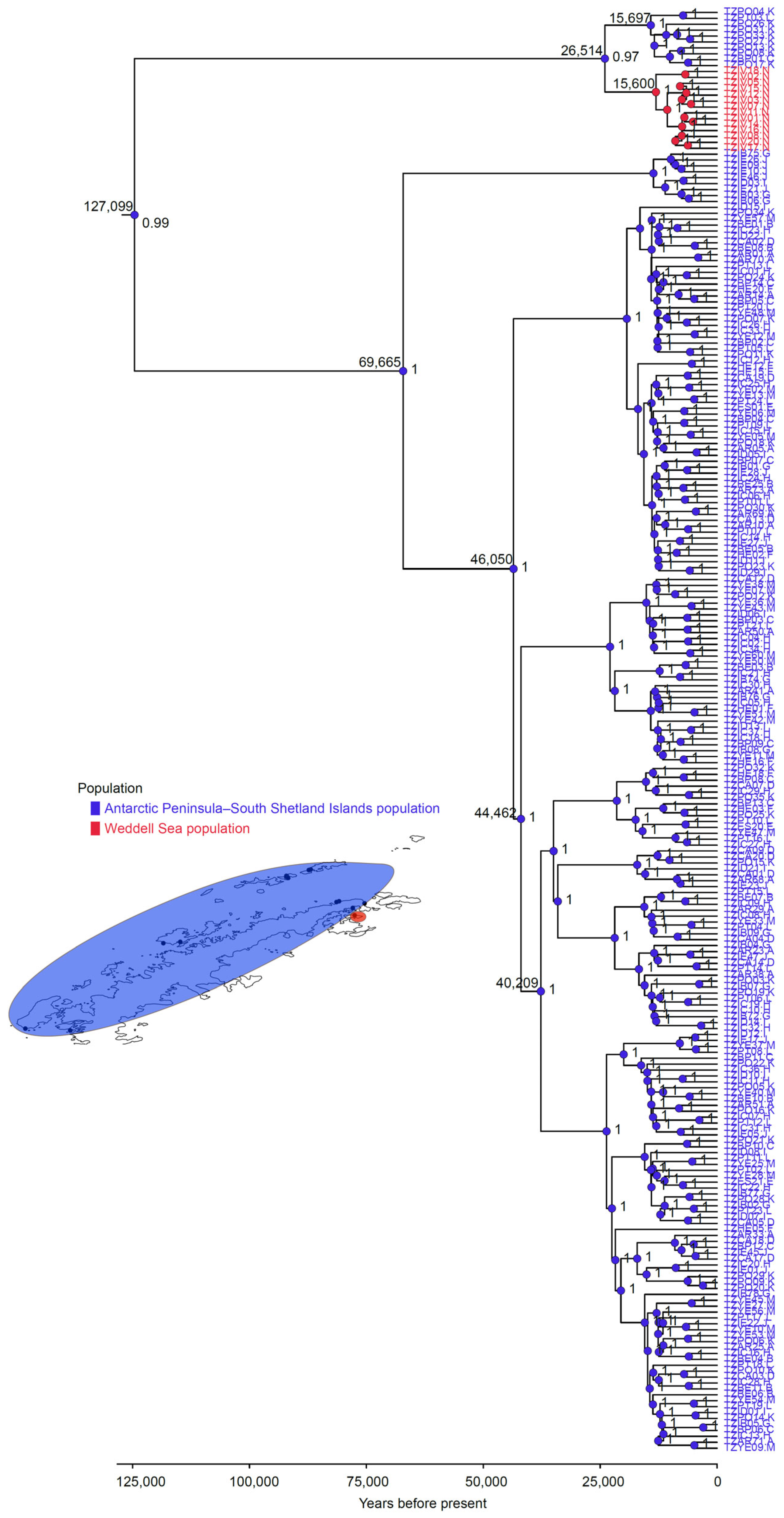 Tracing Ice-Age Legacies: Phylogeography and Glacial Refugia
