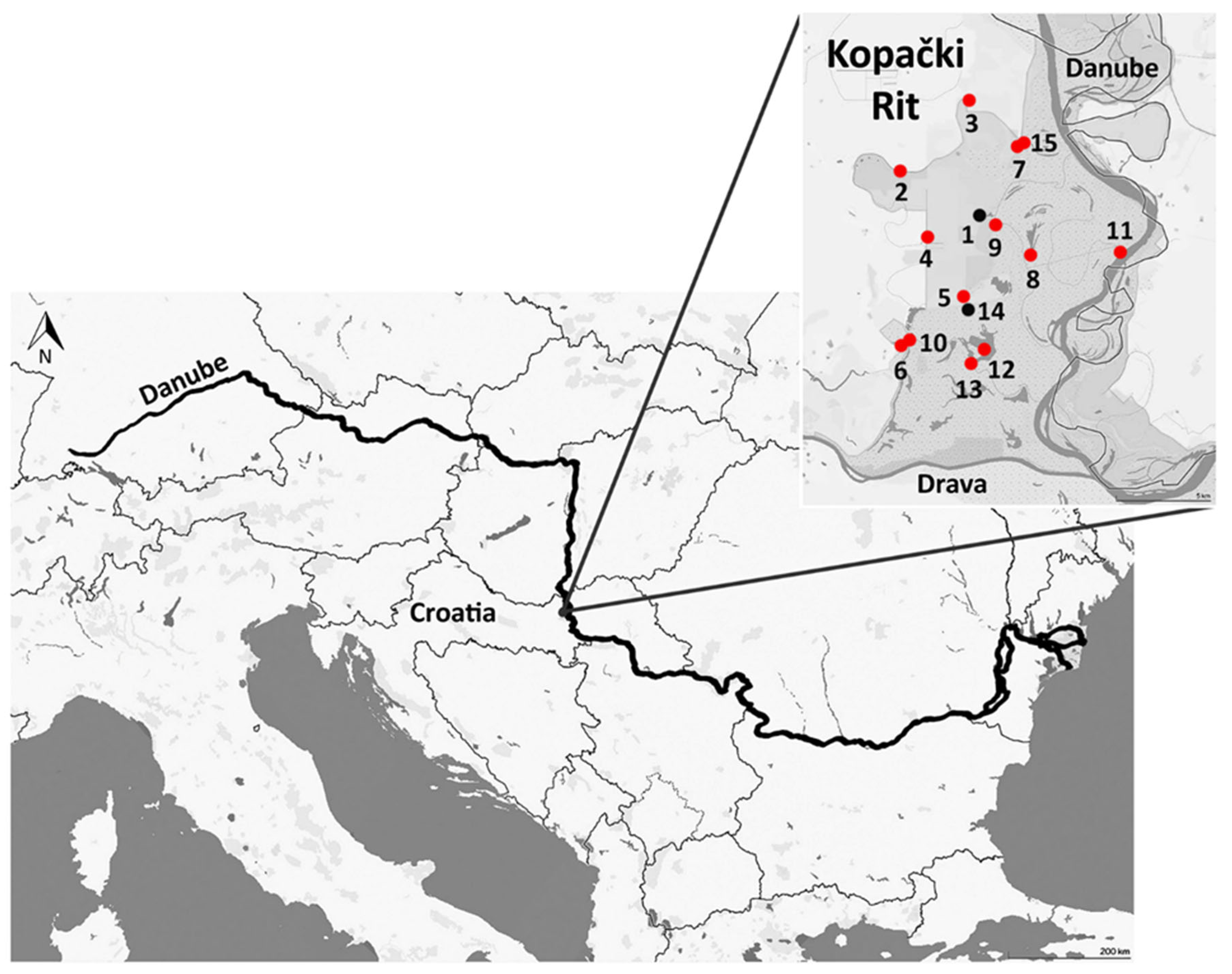 Diversity 17 00630 g001