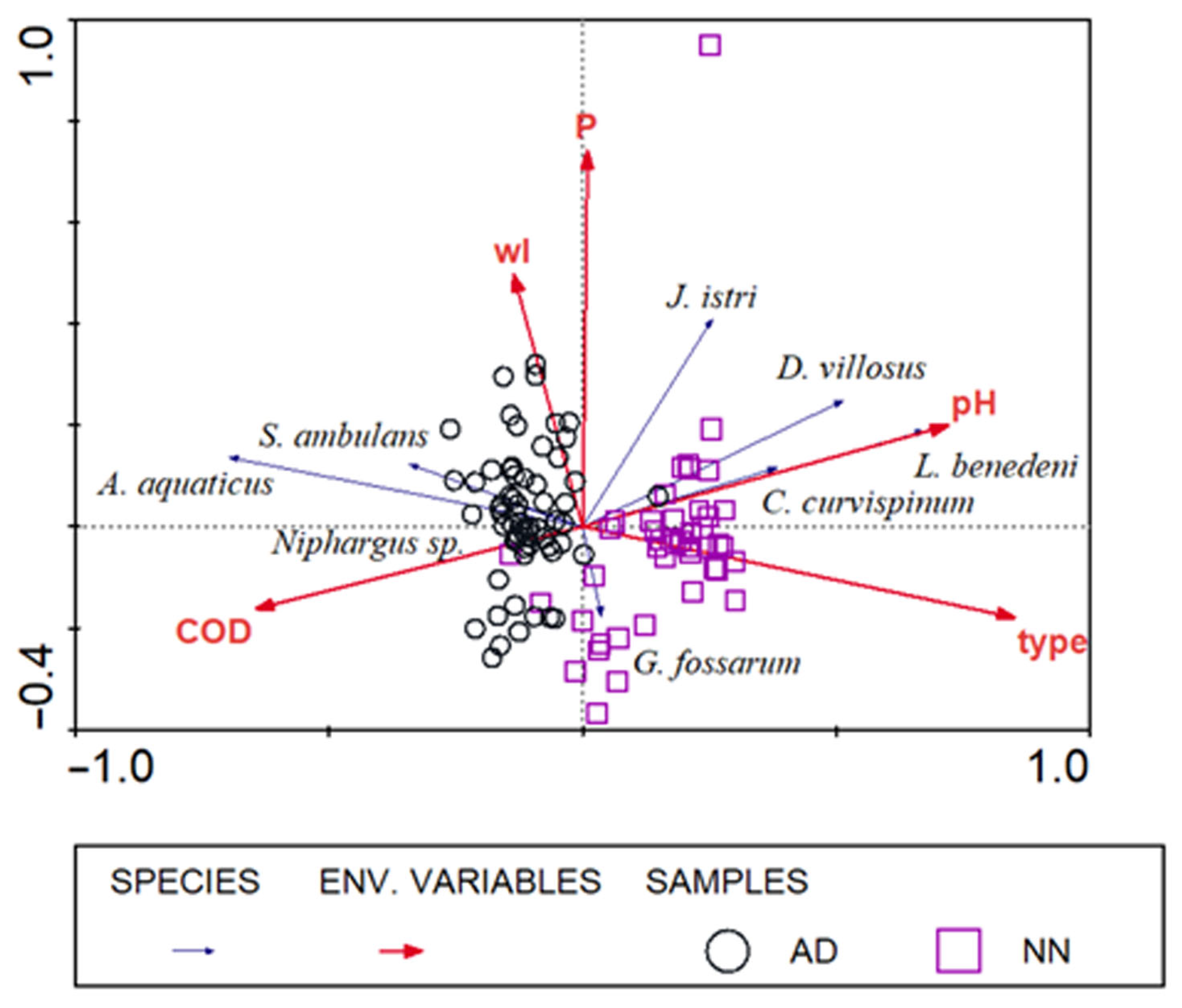 Diversity 17 00630 g004