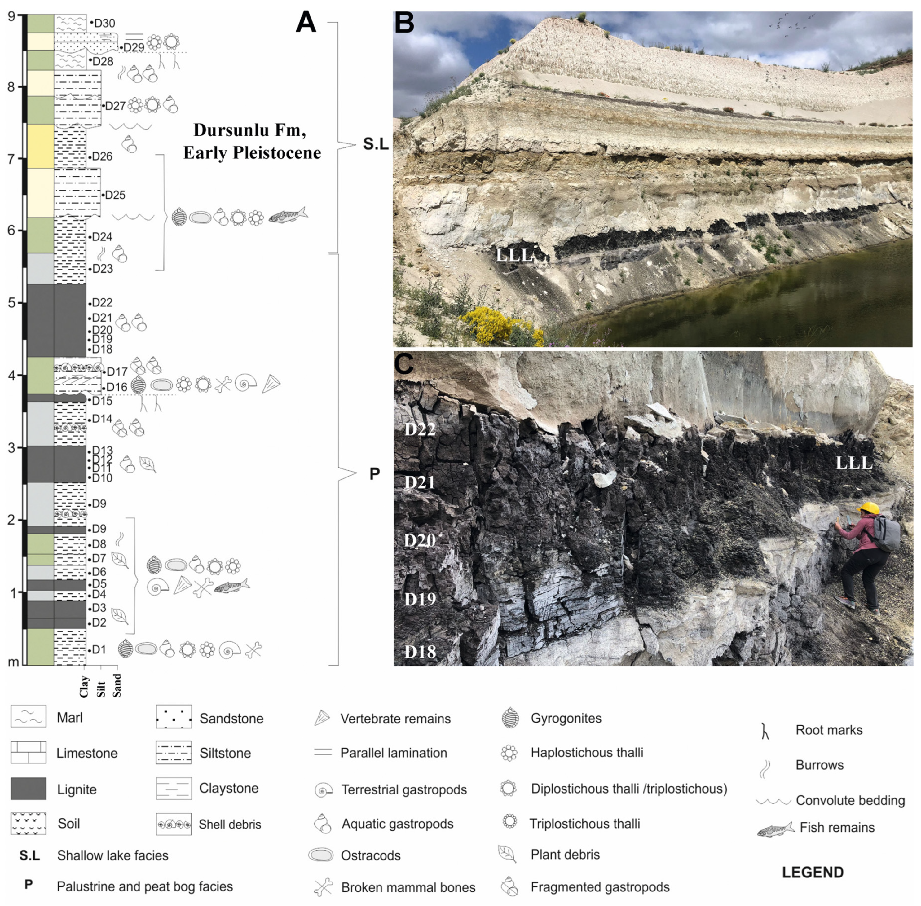 Diversity 17 00631 g002 Diversity 17 00631 g002
