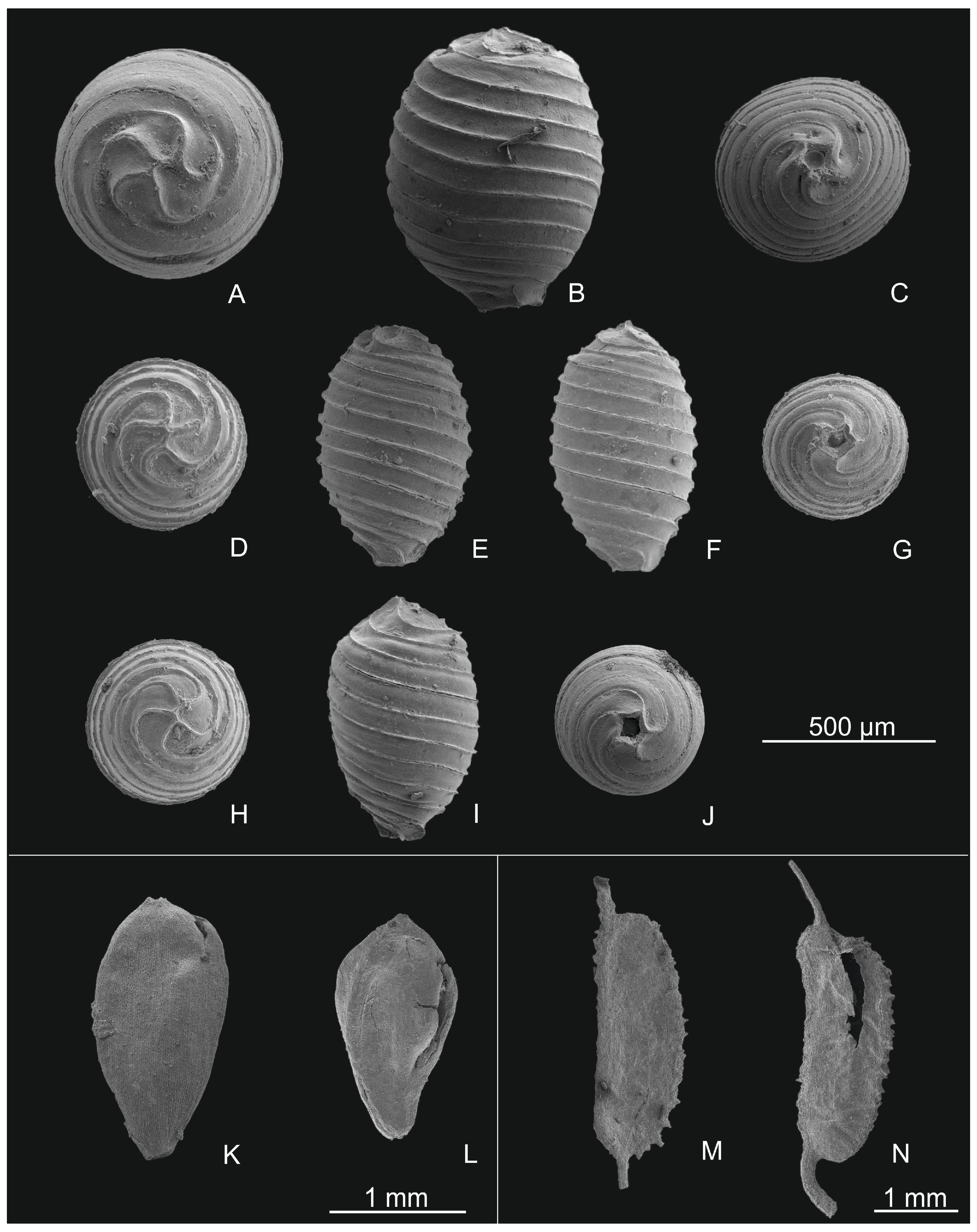 Diversity 17 00631 g003 Diversity 17 00631 g003