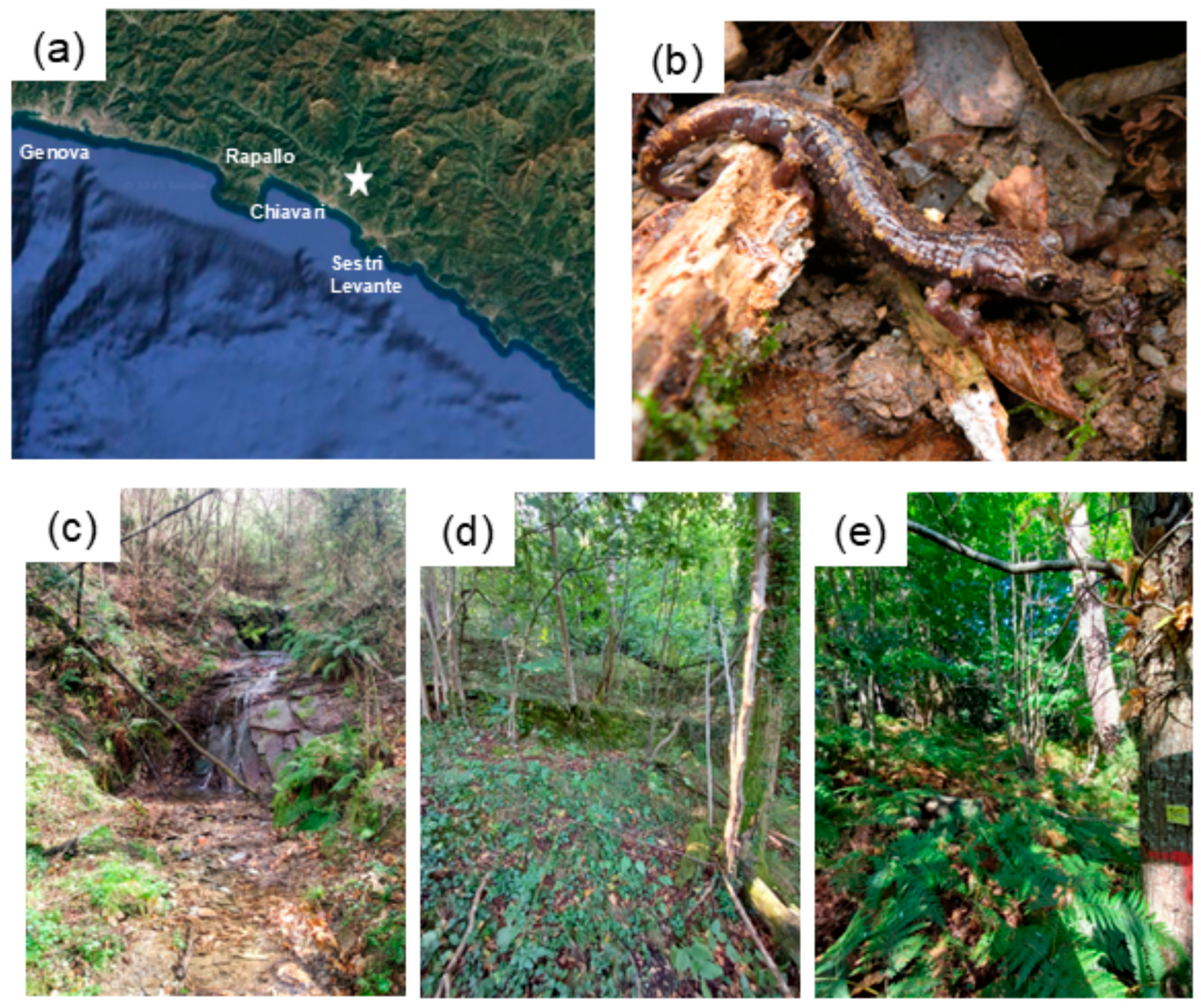 Diversity 17 00632 g001 Diversity 17 00632 g001