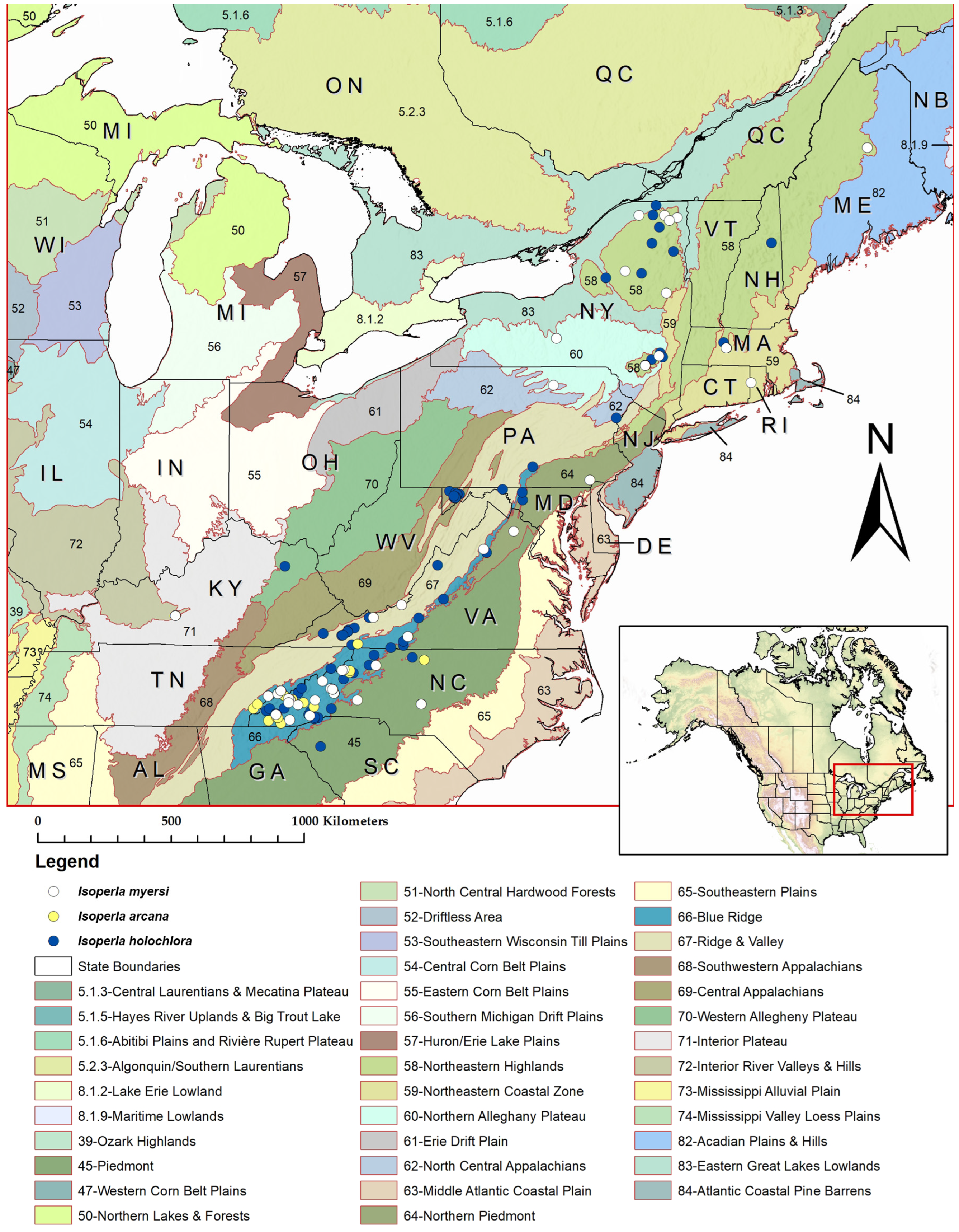 Diversity 17 00633 g001