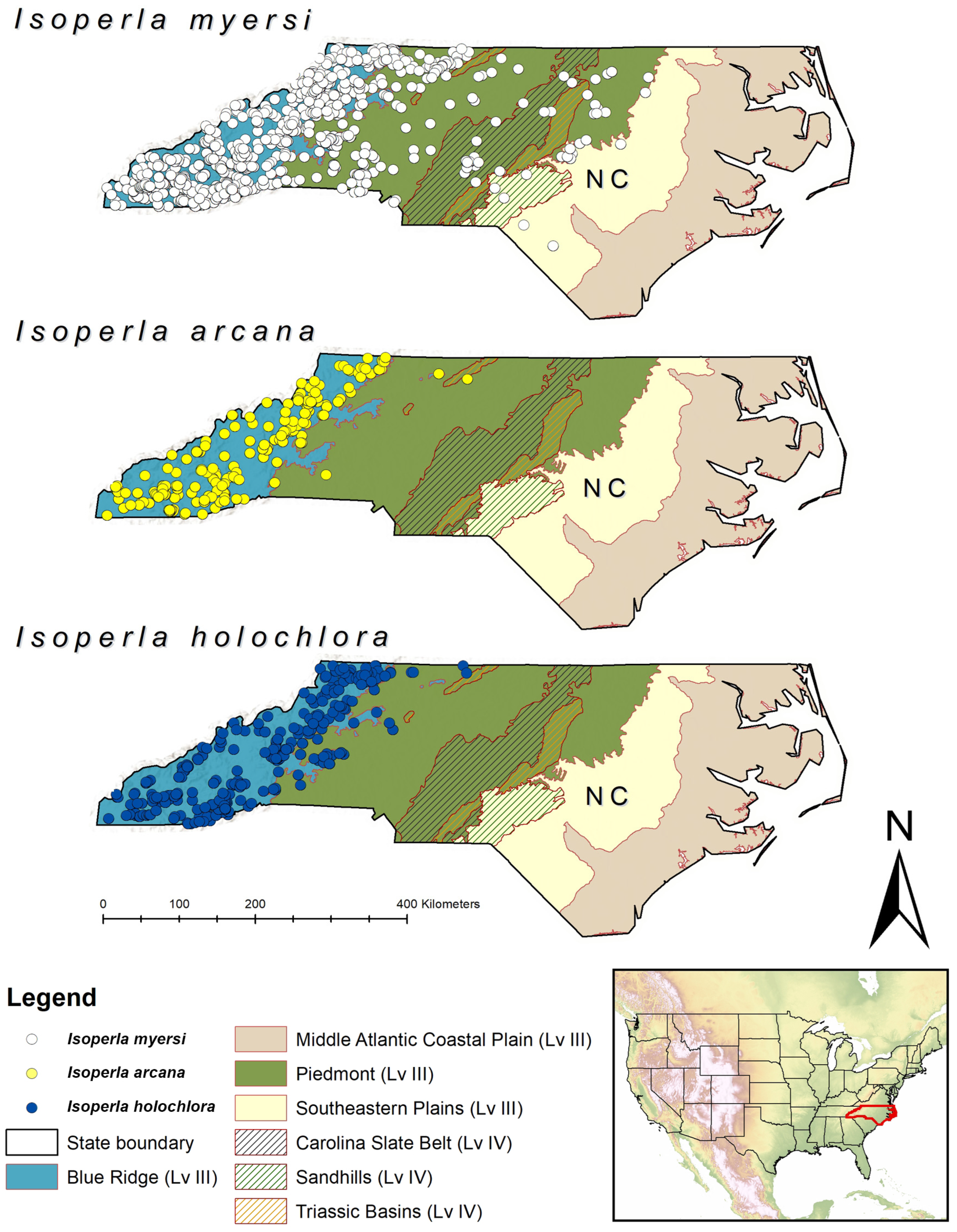 Diversity 17 00633 g011