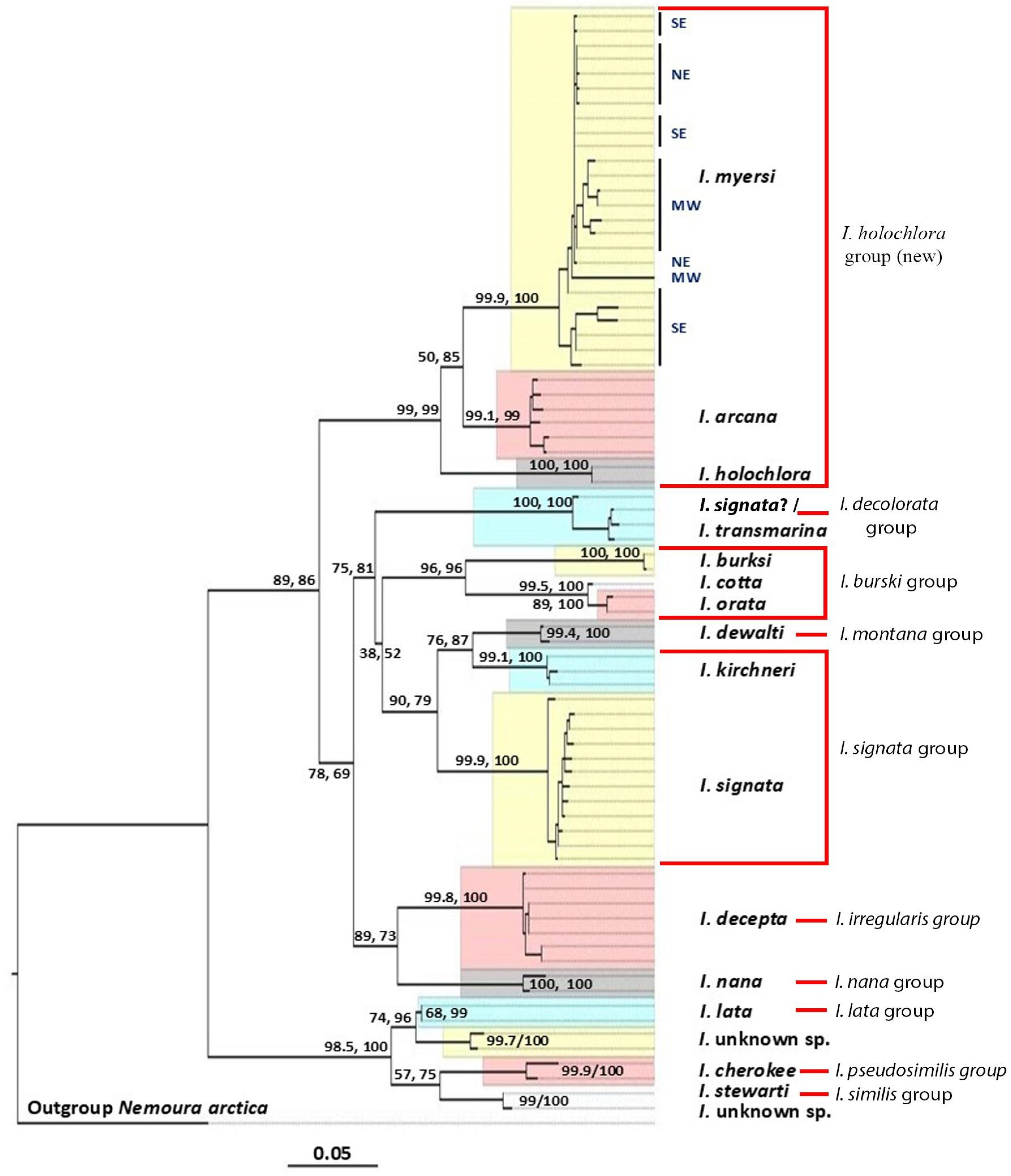 Diversity 17 00633 g015