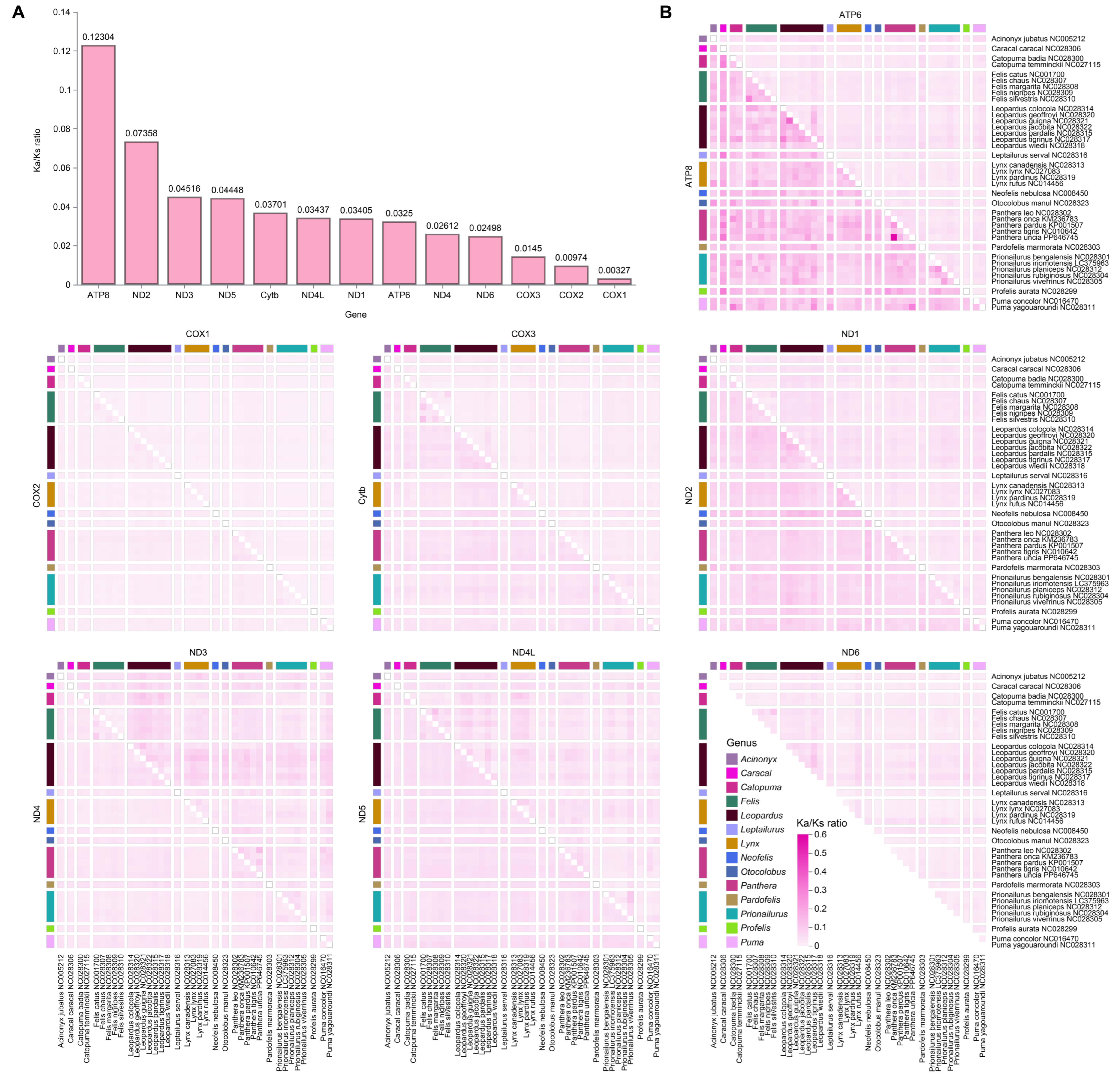 Diversity 17 00634 g003