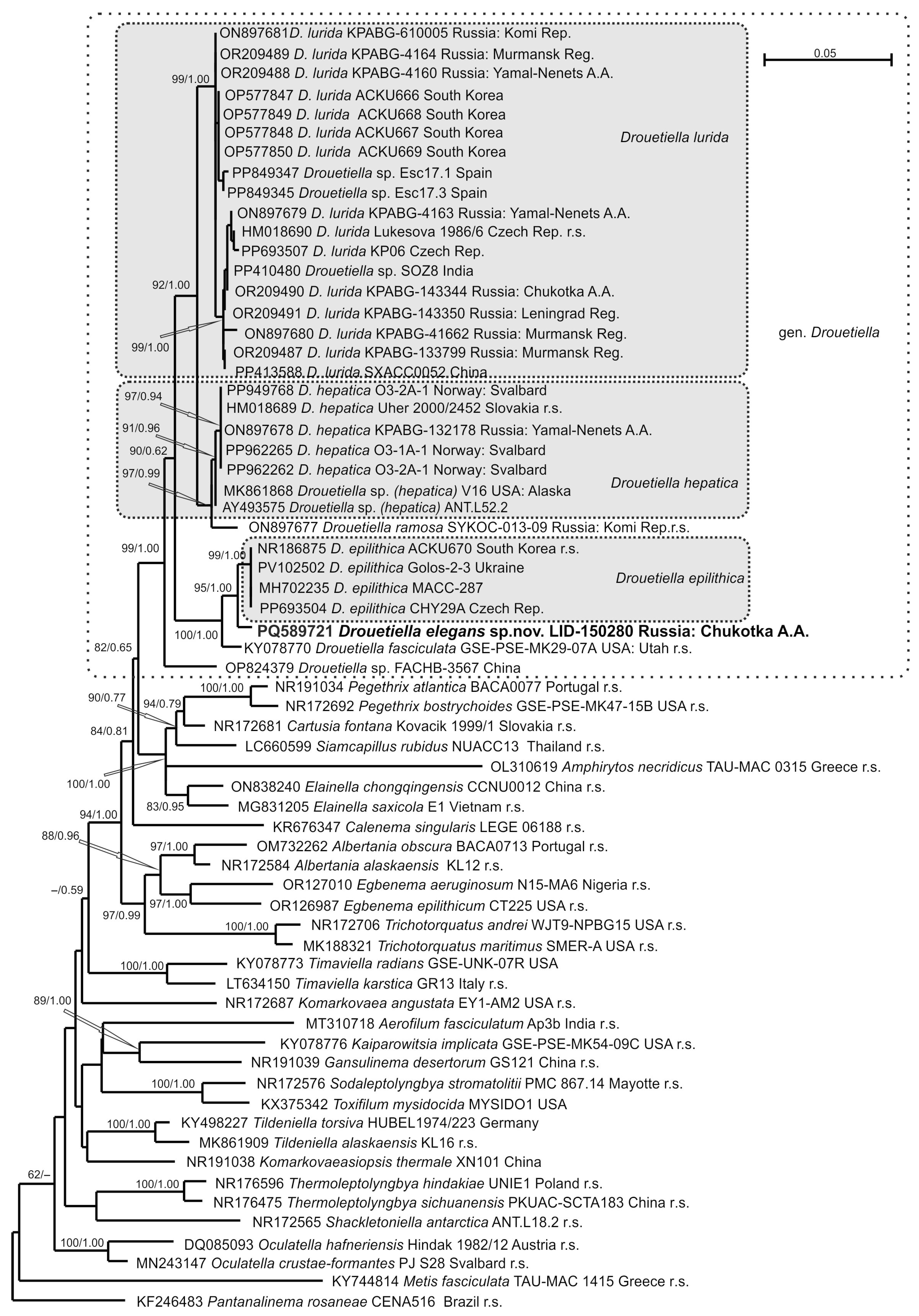 Diversity 17 00640 g004 Diversity 17 00640 g004