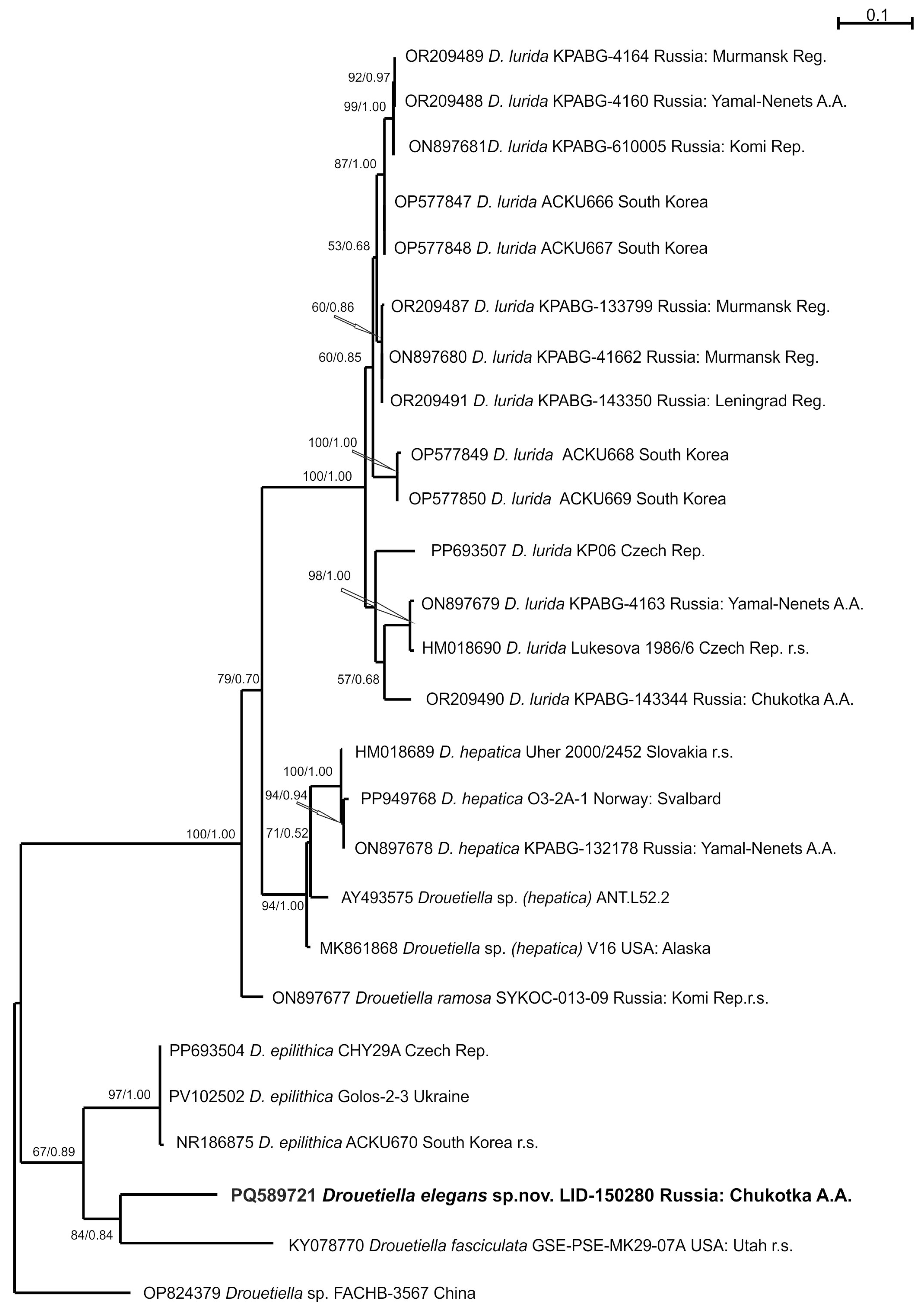 Diversity 17 00640 g005 Diversity 17 00640 g005