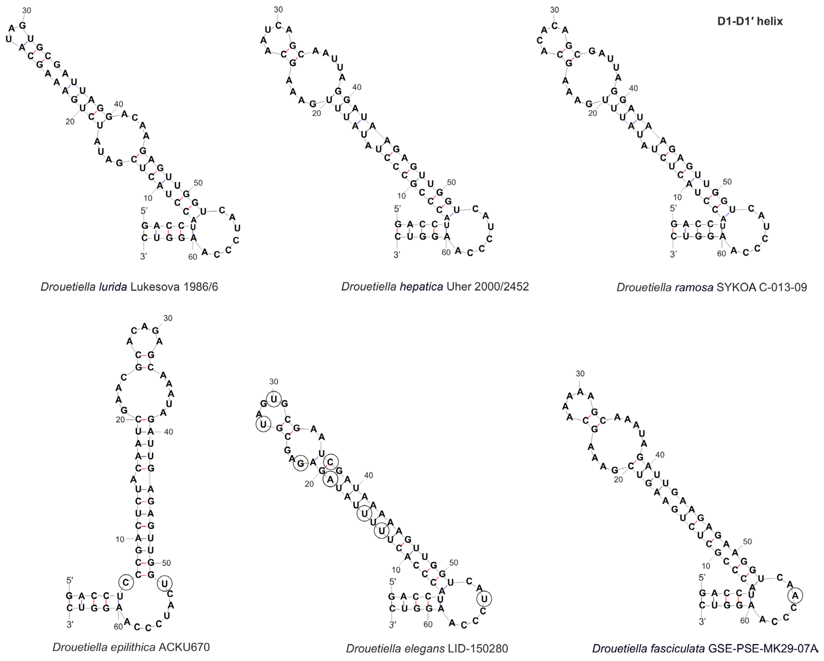Diversity 17 00640 g006 Diversity 17 00640 g006
