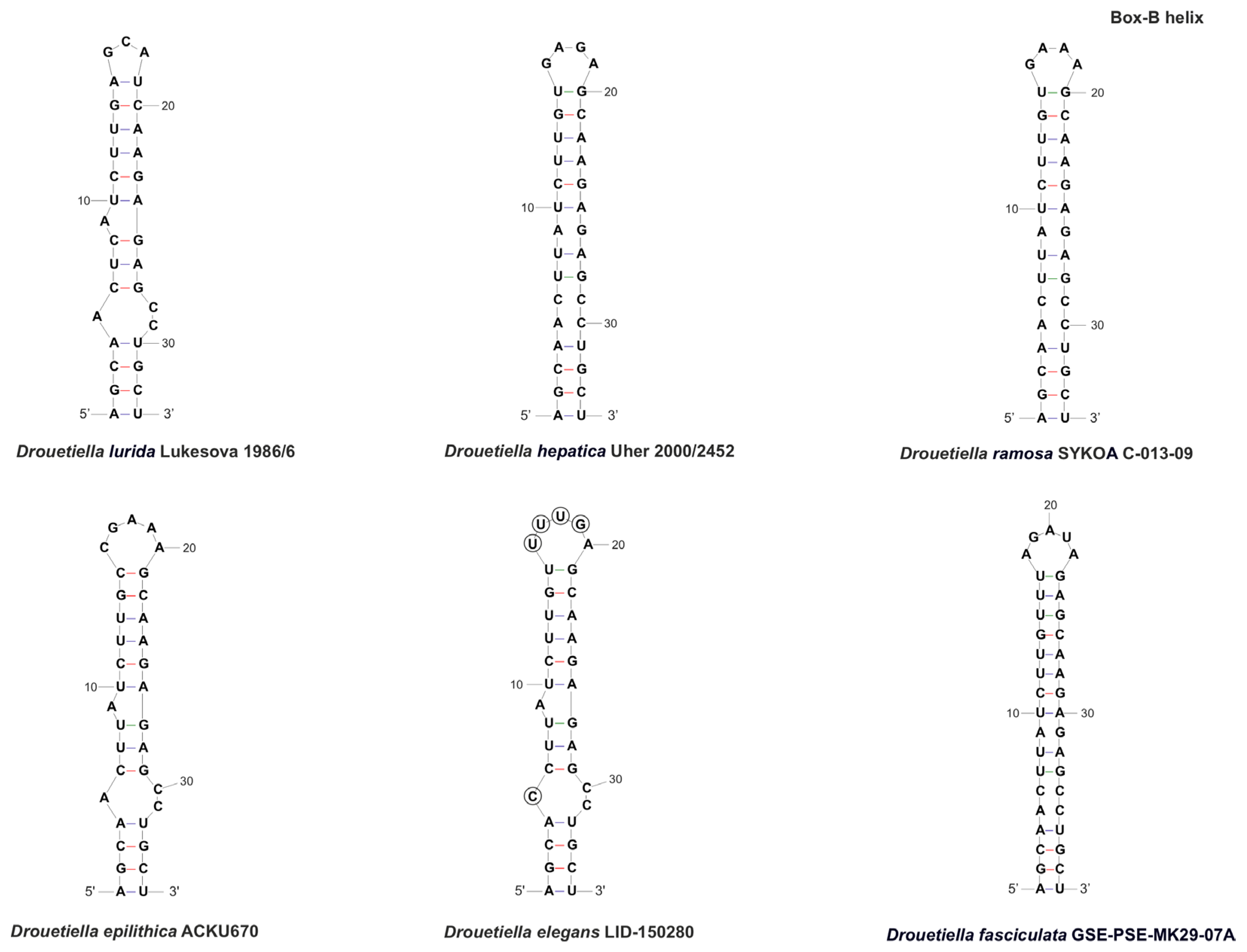 Diversity 17 00640 g007 Diversity 17 00640 g007