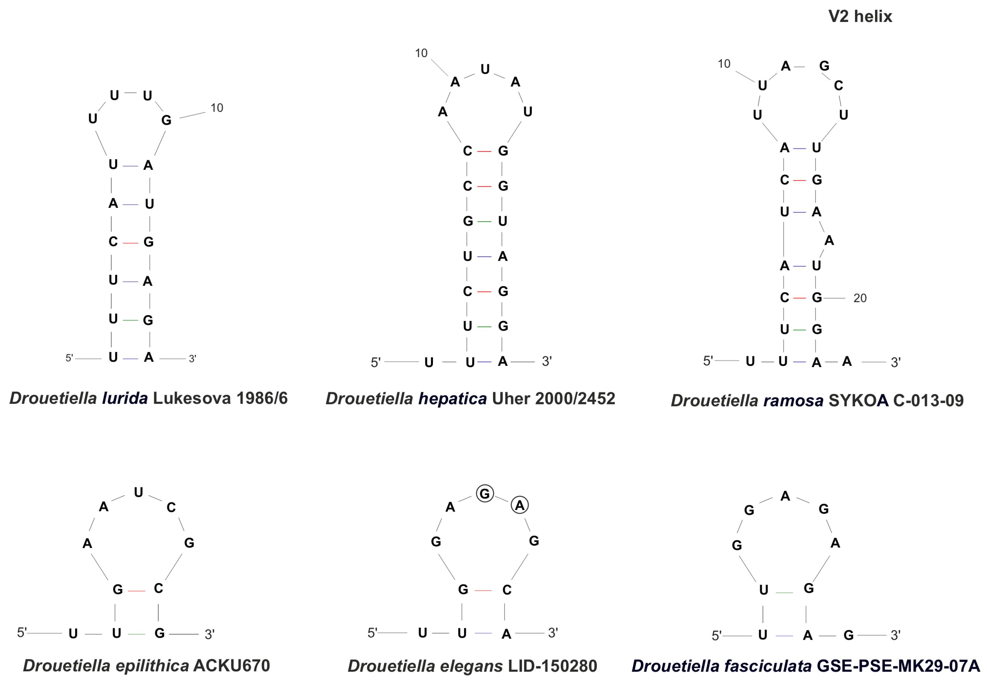 Diversity 17 00640 g008 Diversity 17 00640 g008