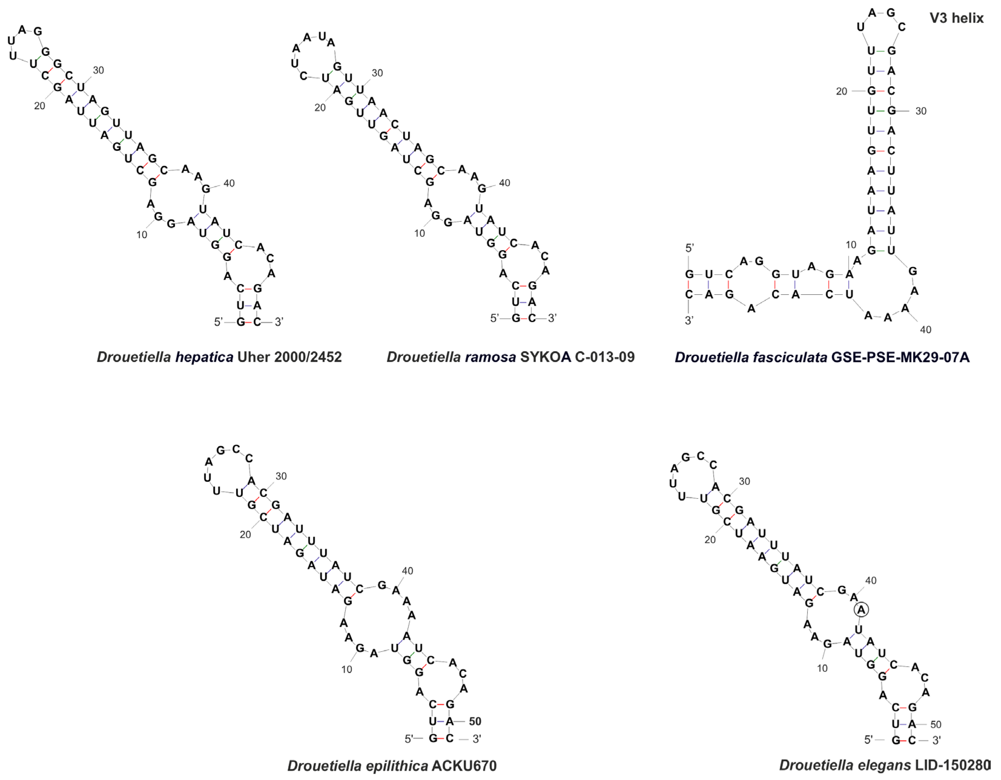Diversity 17 00640 g009 Diversity 17 00640 g009