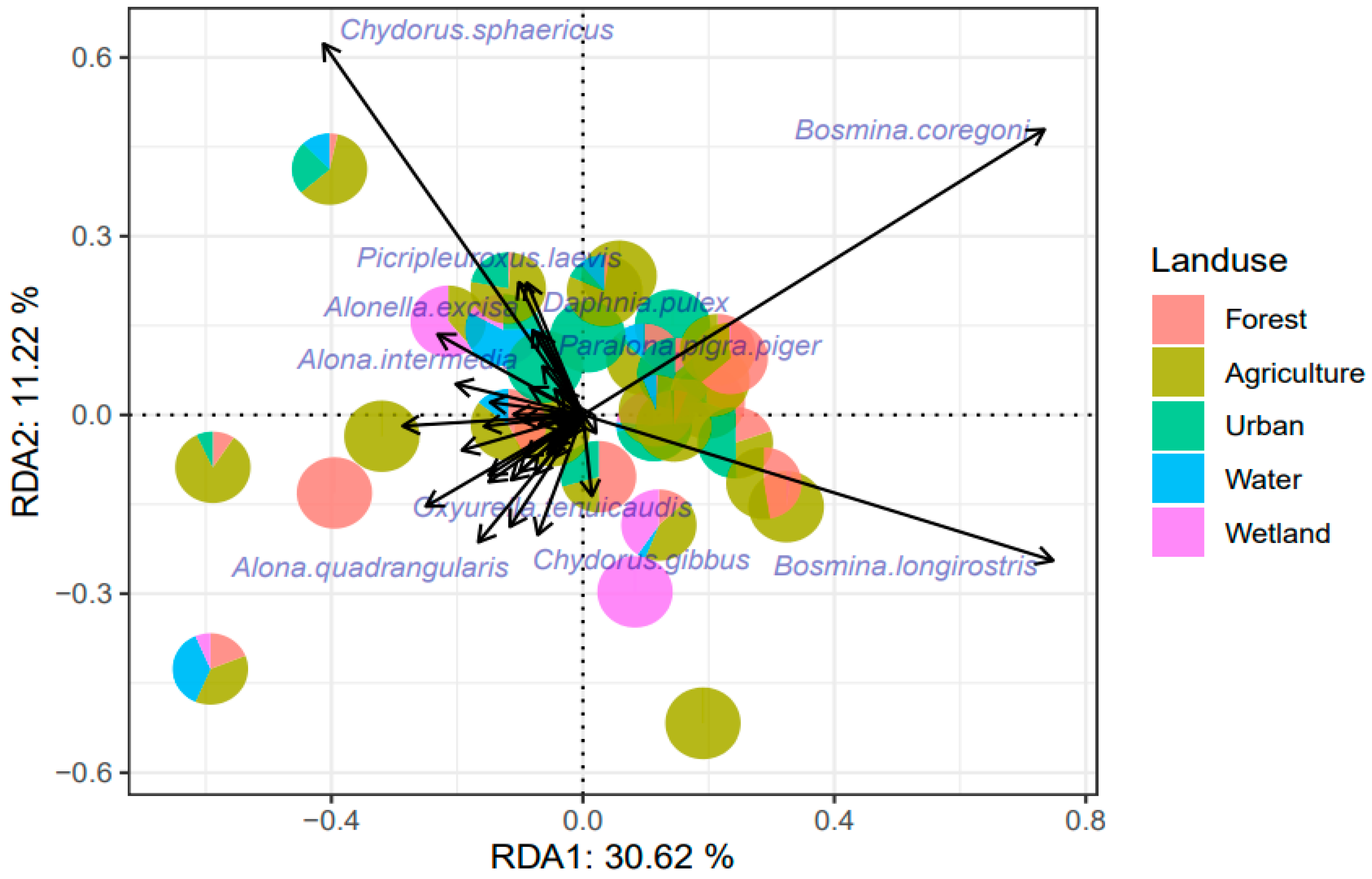 Diversity 17 00642 g005 Diversity 17 00642 g005