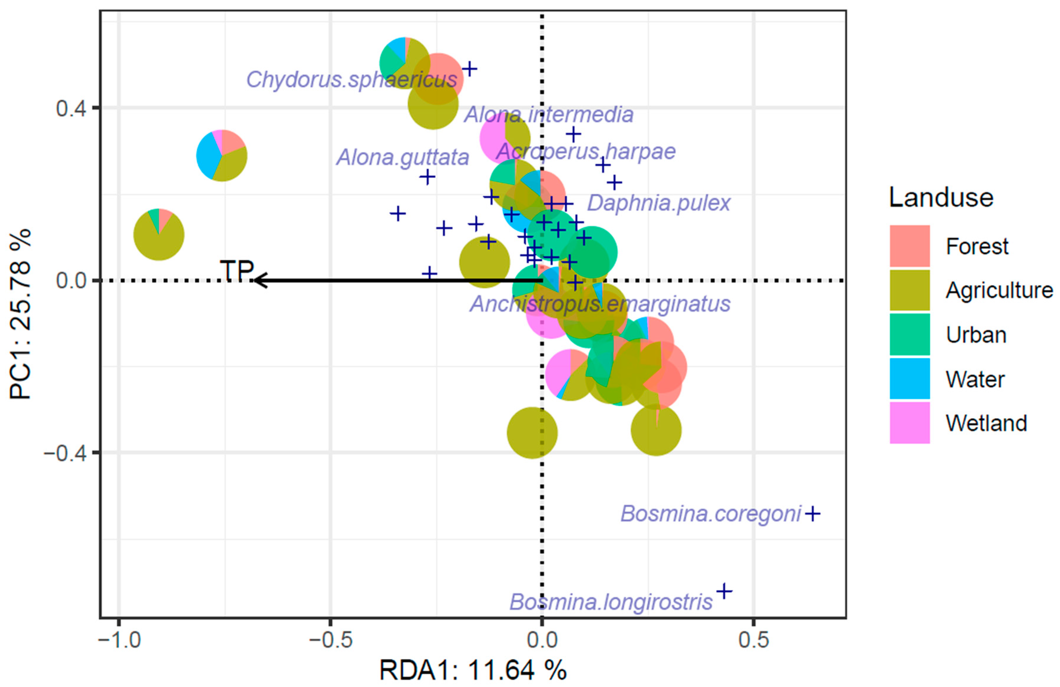 Diversity 17 00642 g008 Diversity 17 00642 g008