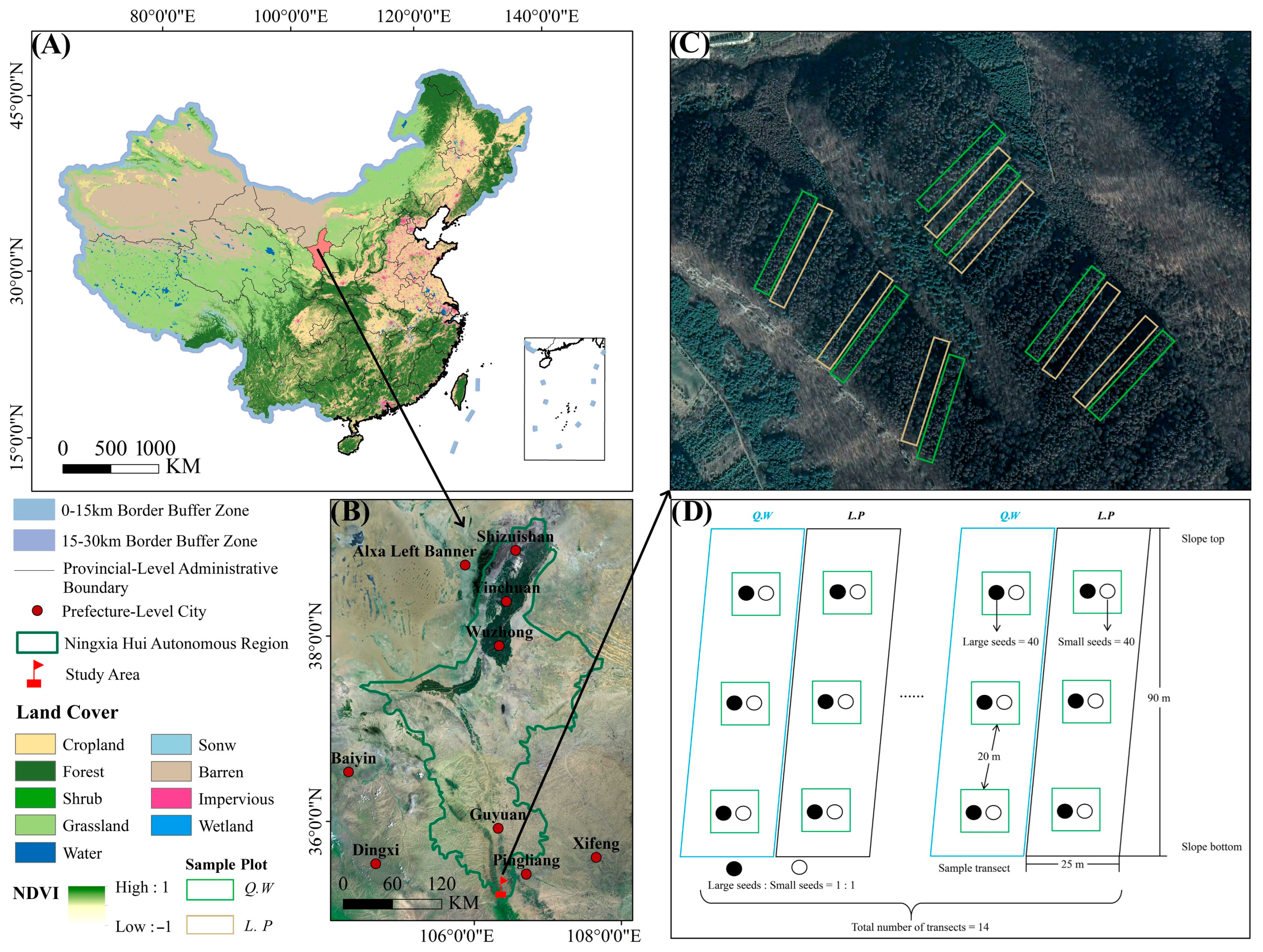 Diversity 17 00643 g001