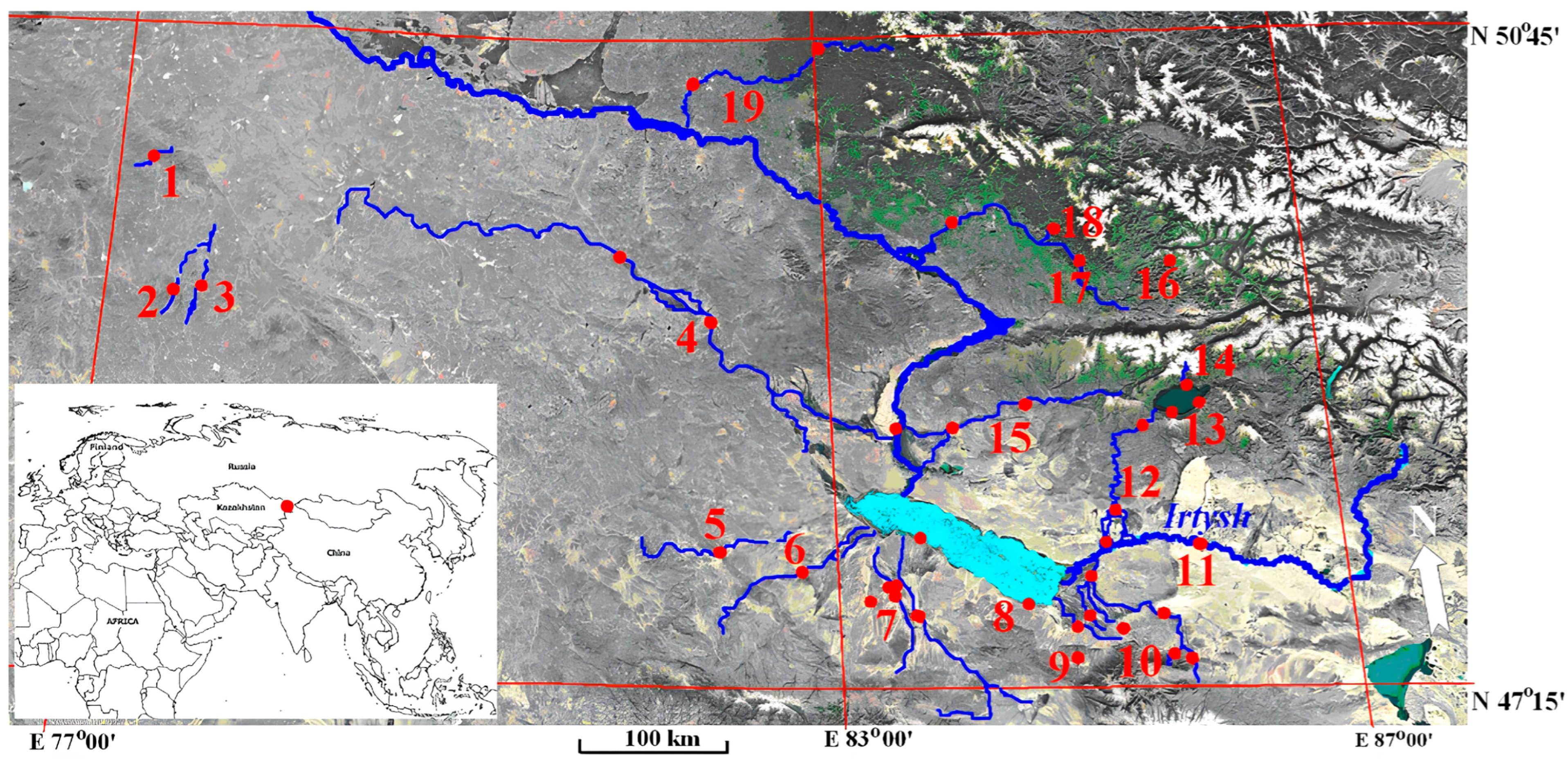 Diversity 17 00648 g001