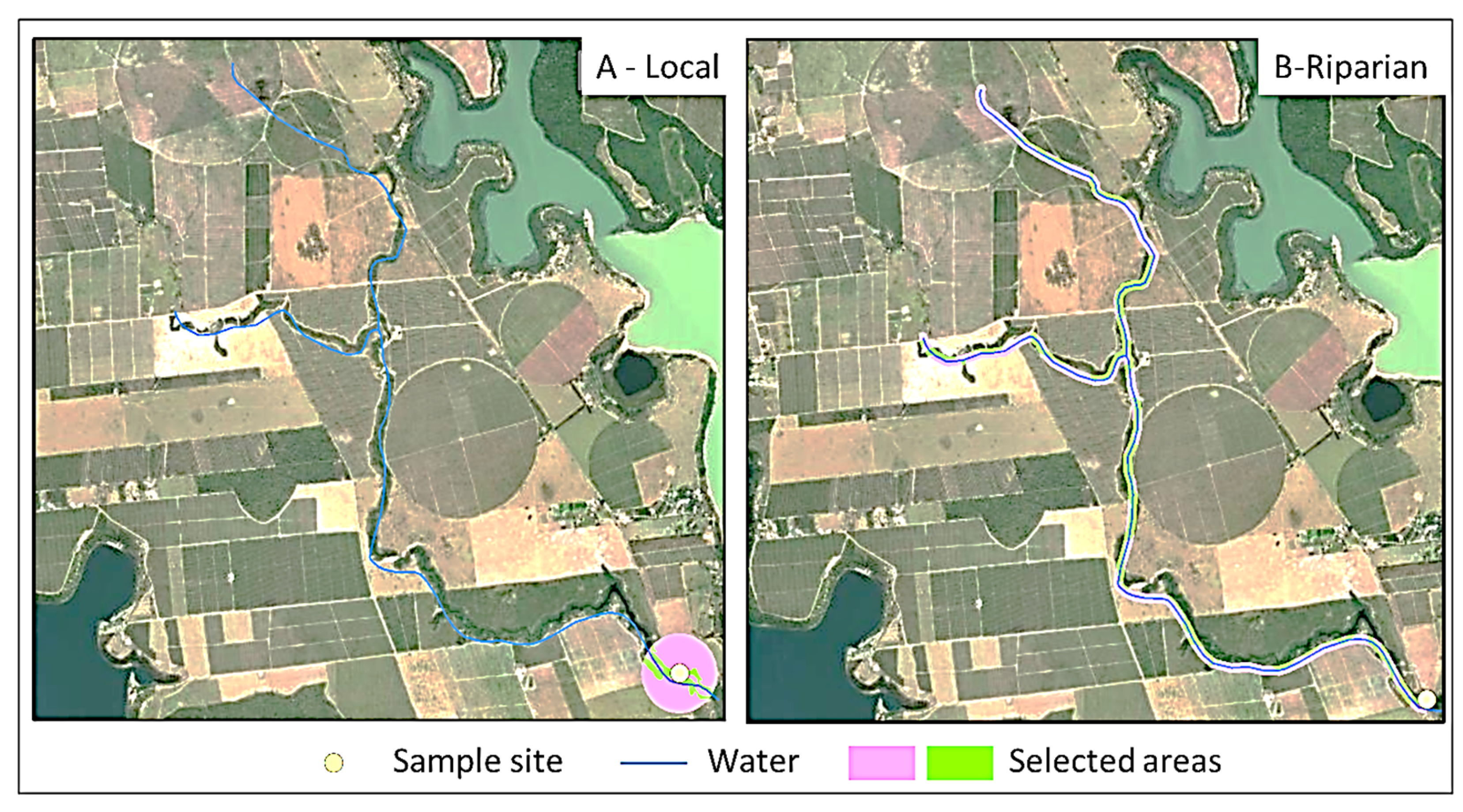 Diversity 17 00650 g003