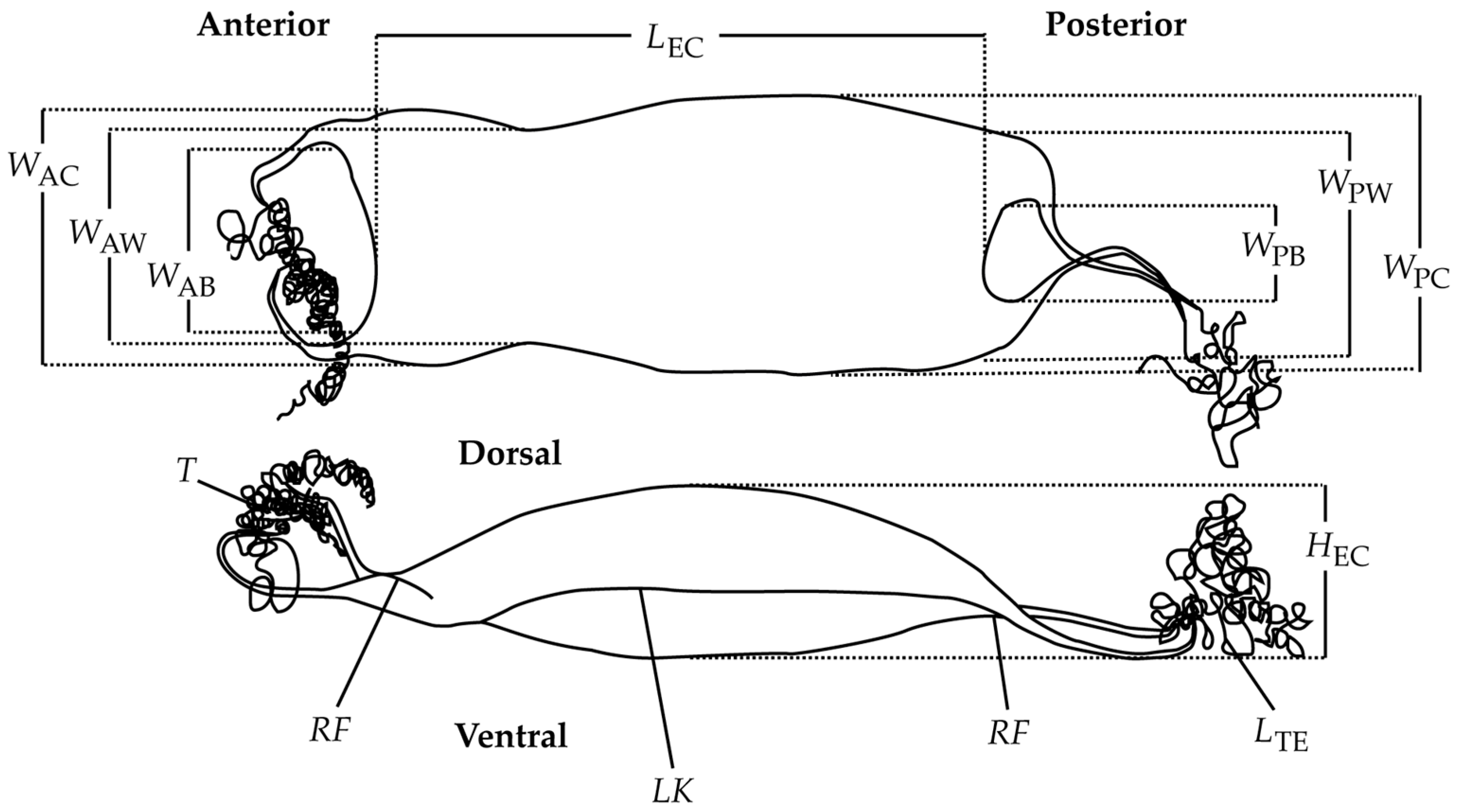 Diversity 17 00651 g001 Diversity 17 00651 g001