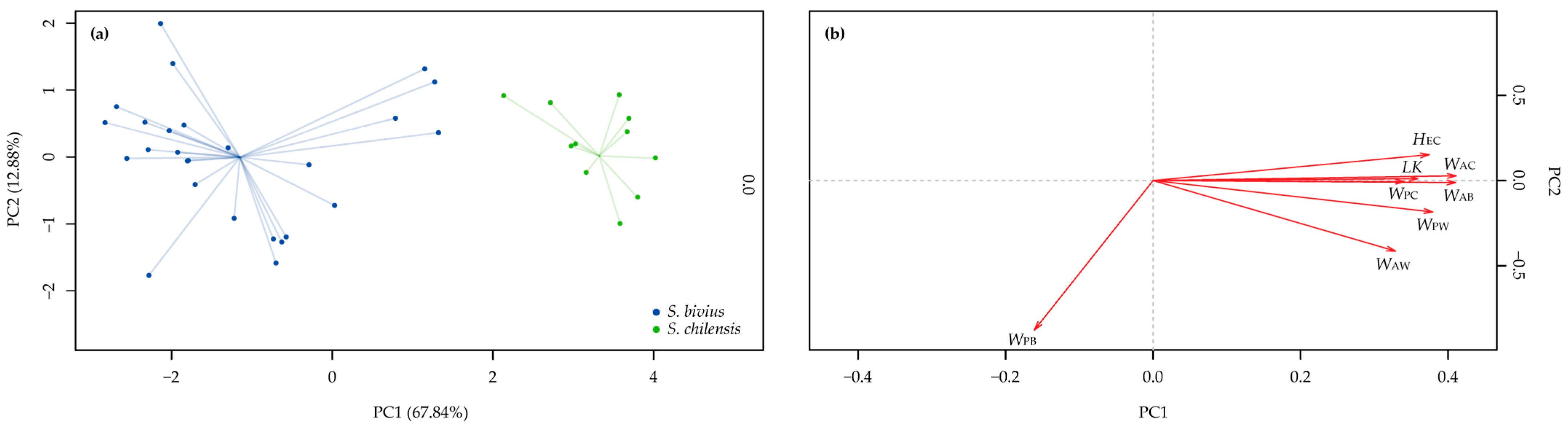 Diversity 17 00651 g004 Diversity 17 00651 g004