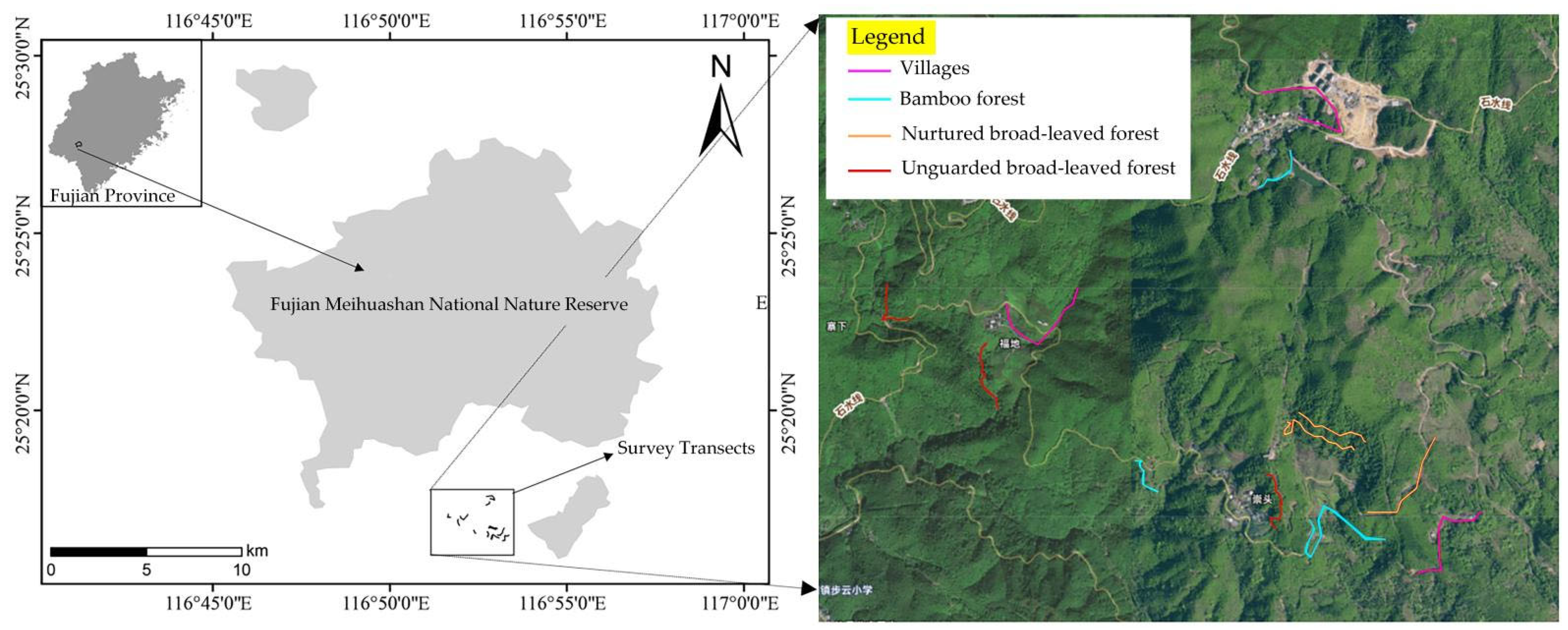 Diversity 17 00654 g001 Diversity 17 00654 g001