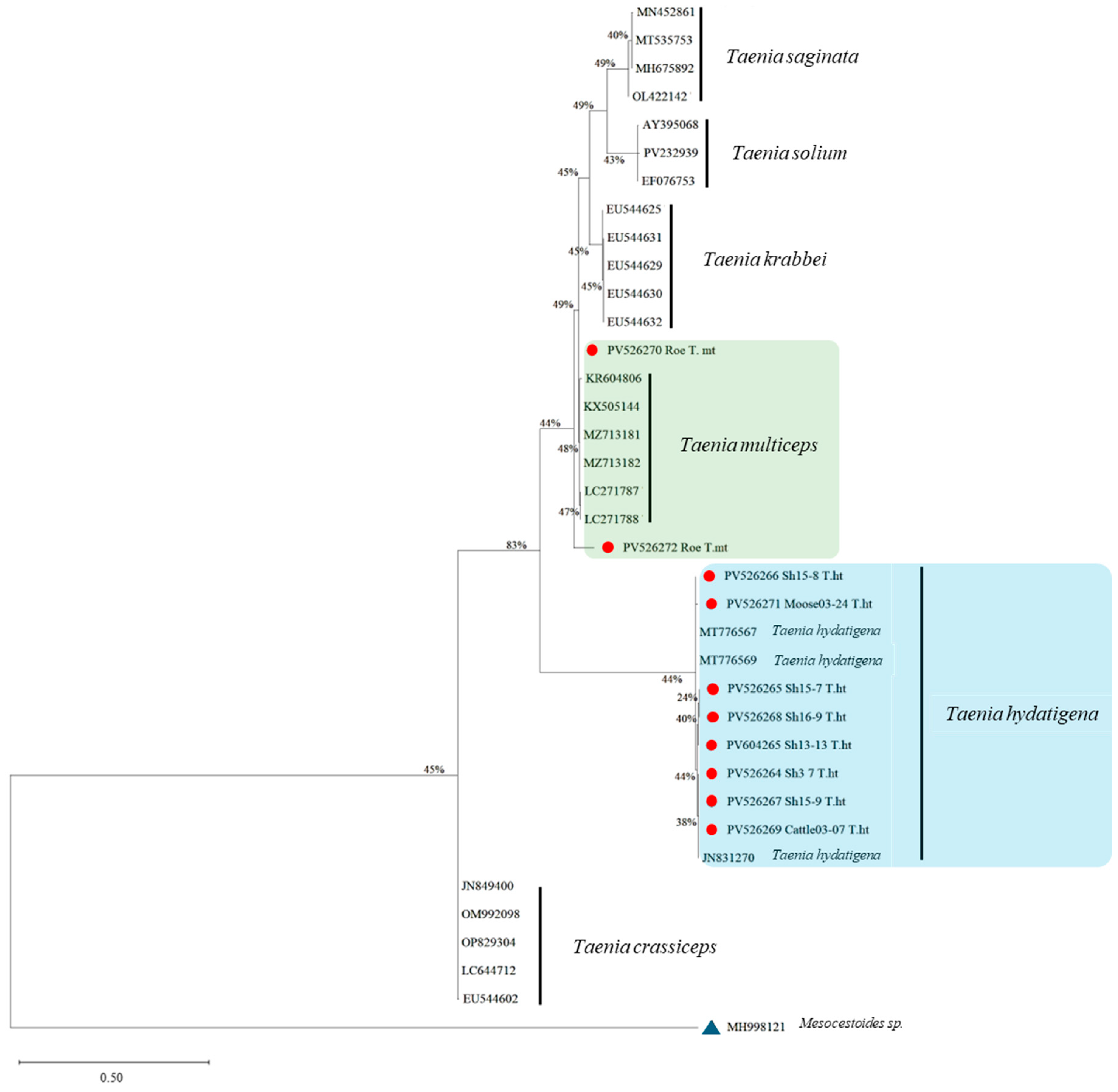 Diversity 17 00655 g003 Diversity 17 00655 g003