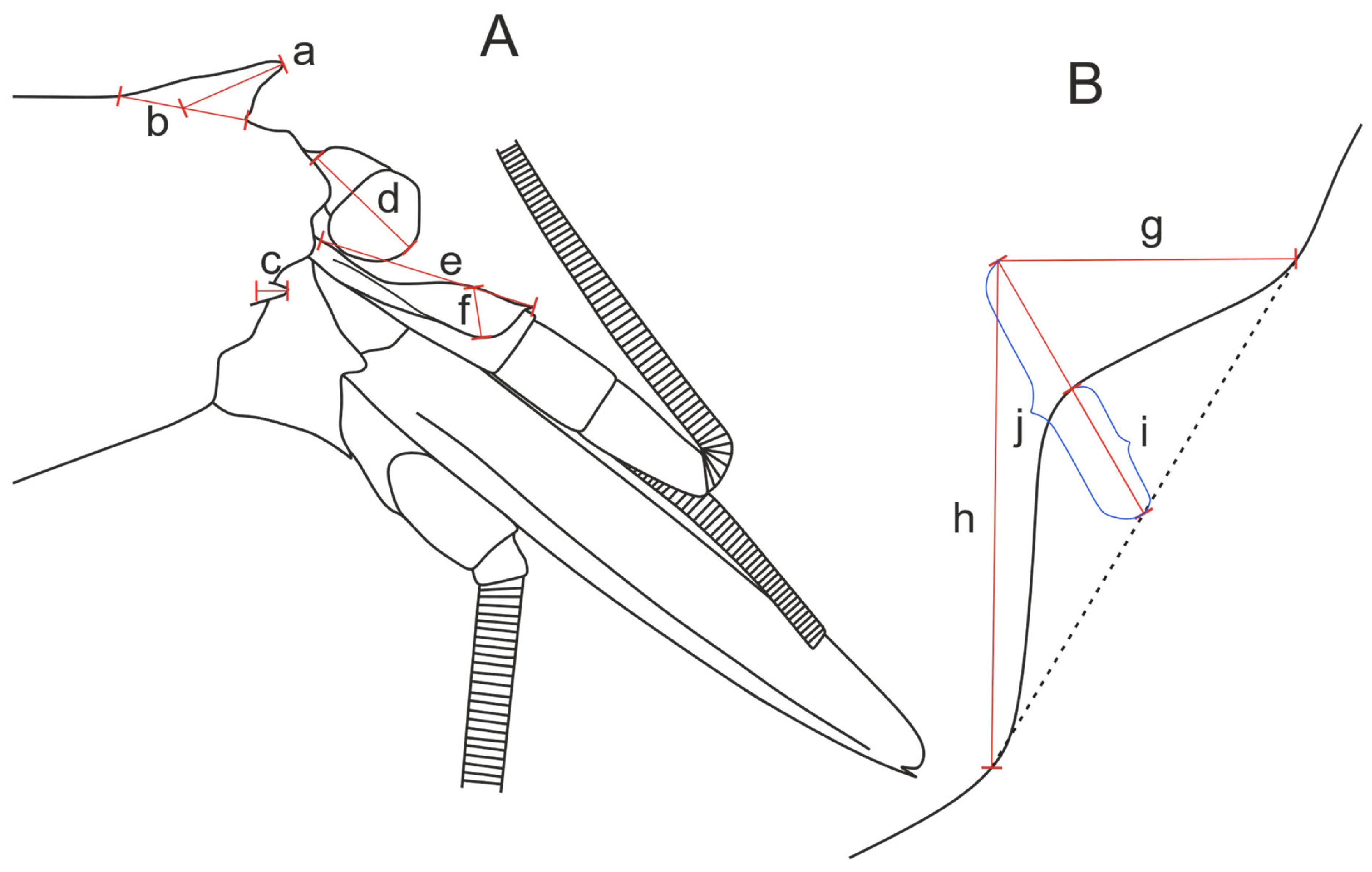 Diversity 17 00656 g003