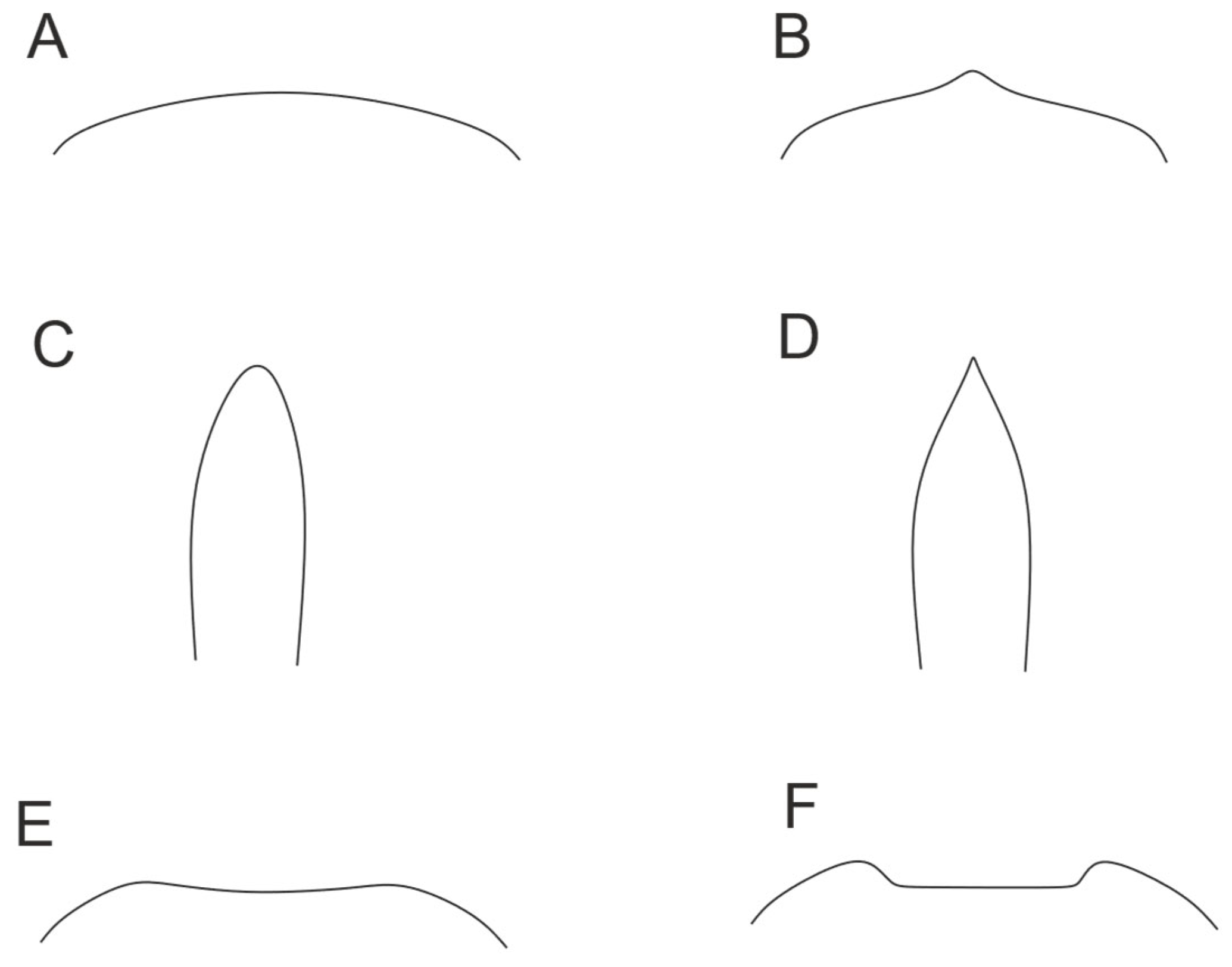 Diversity 17 00656 g004
