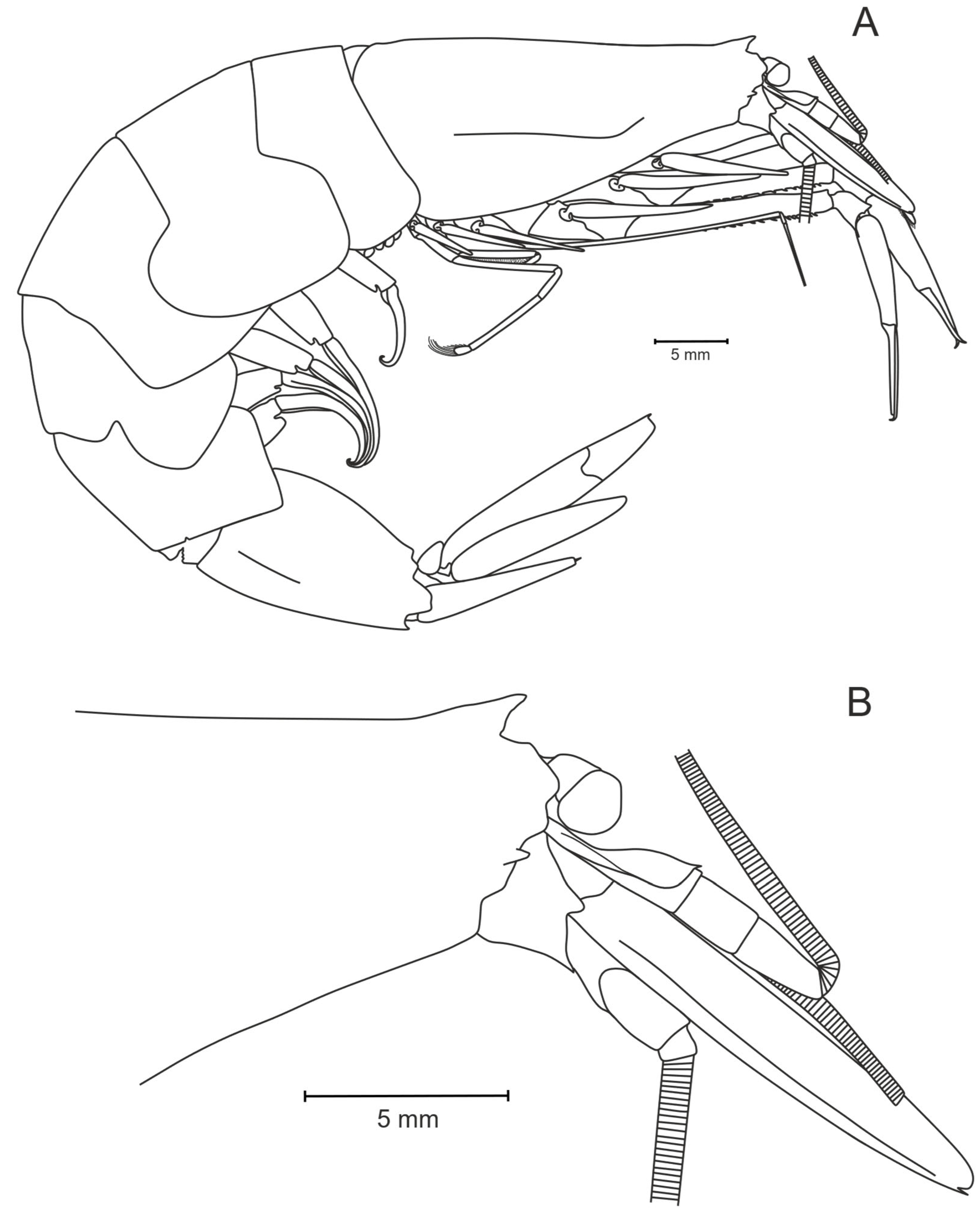 Diversity 17 00656 g007