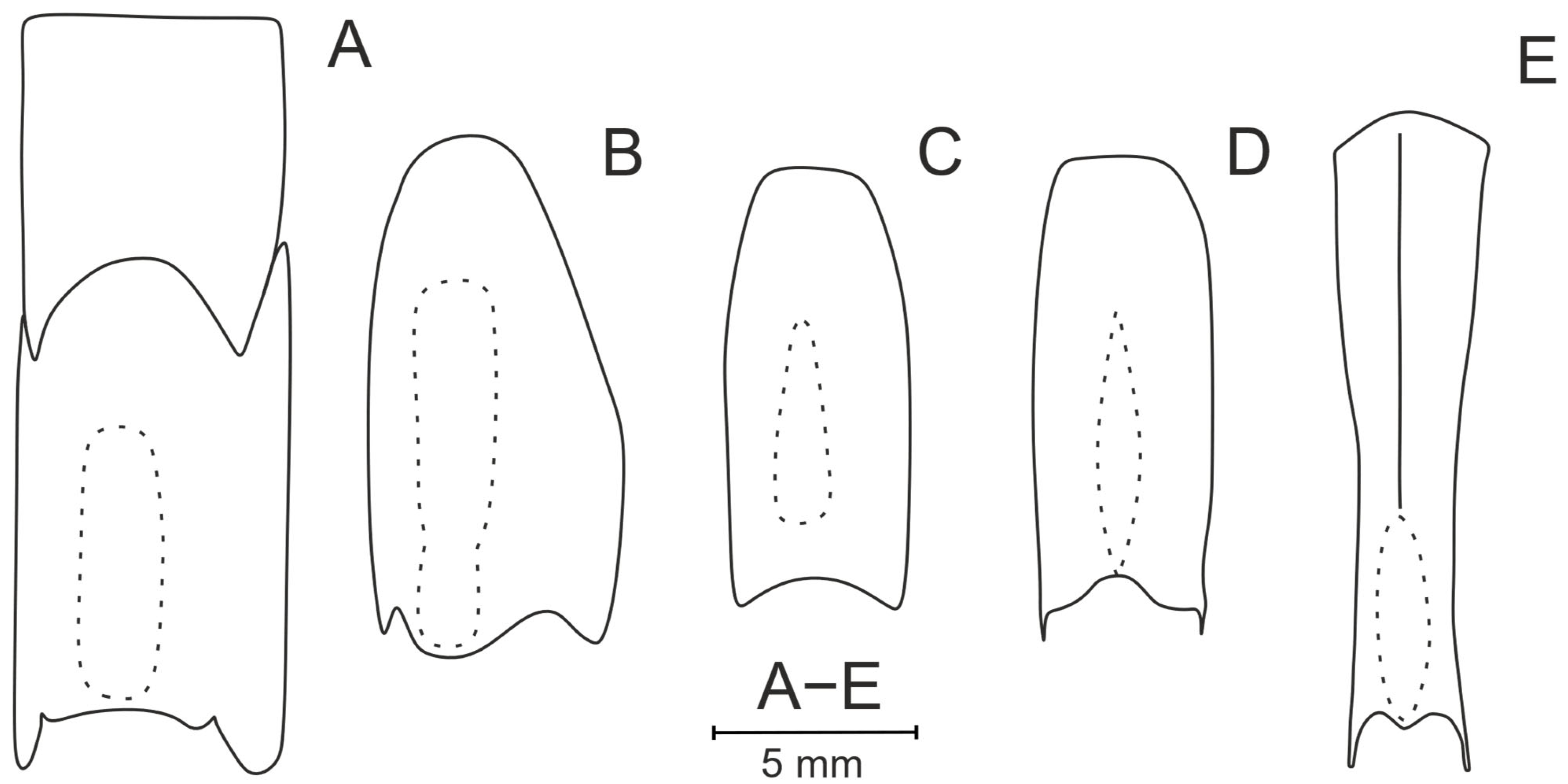 Diversity 17 00656 g008