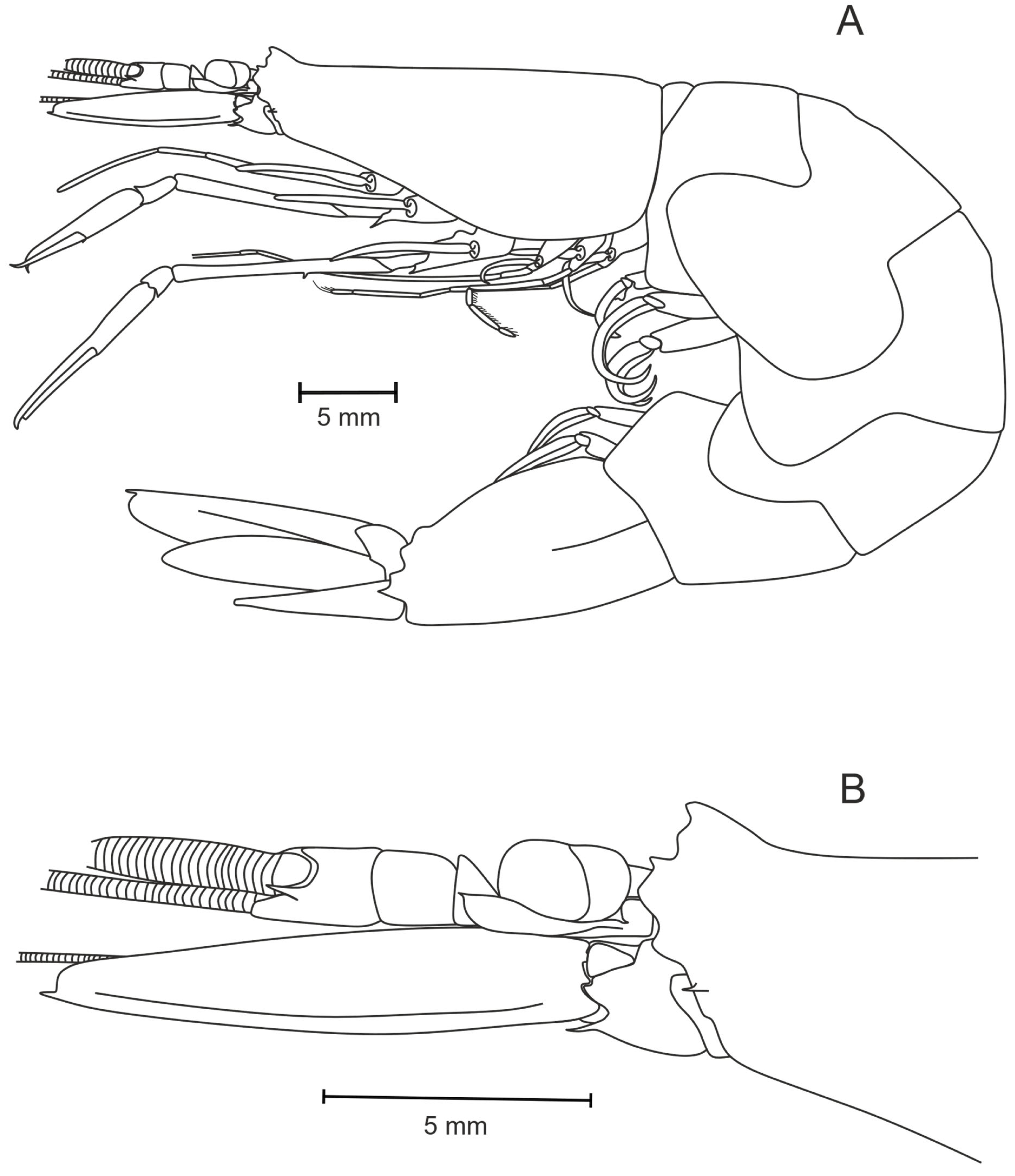 Diversity 17 00656 g013