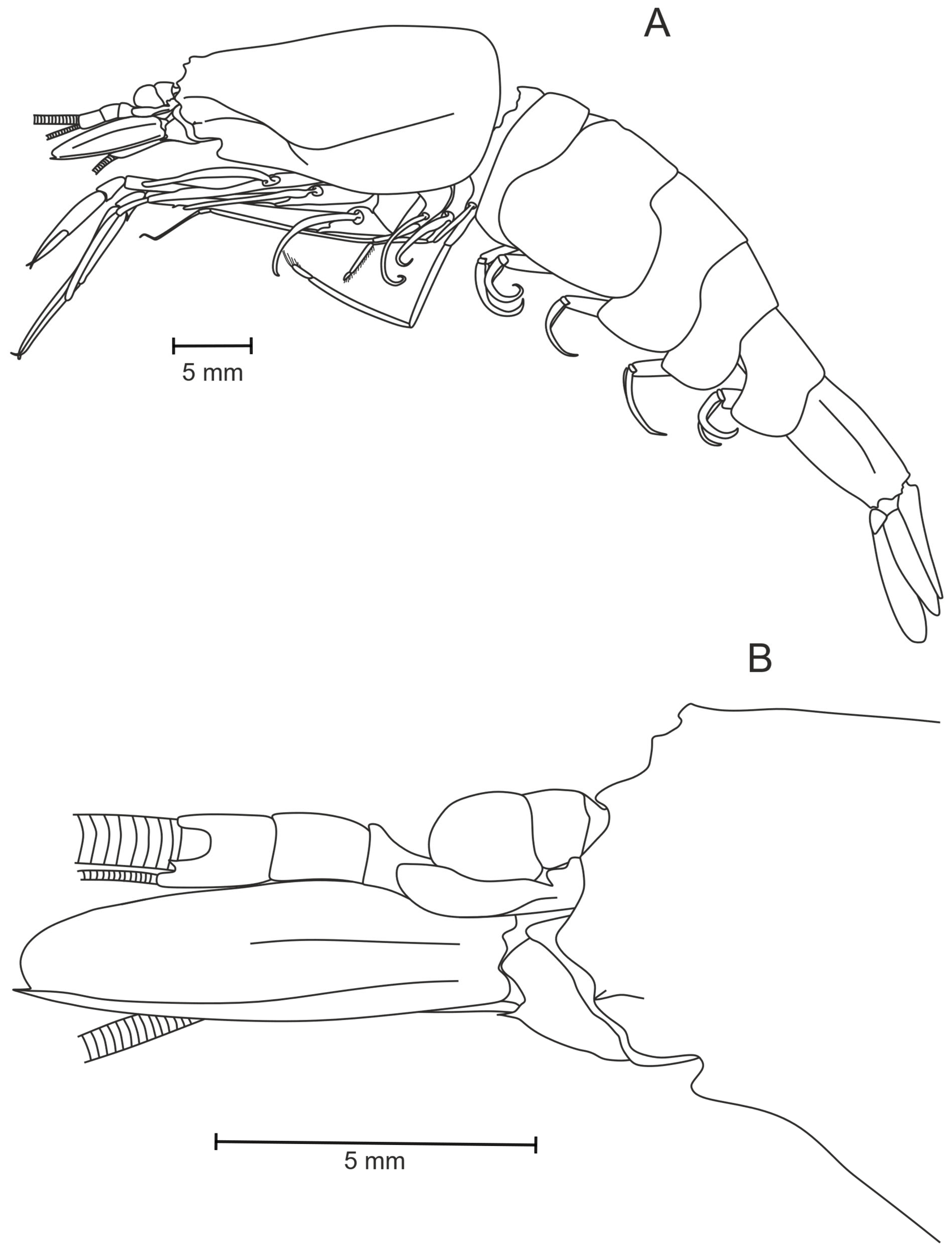 Diversity 17 00656 g017