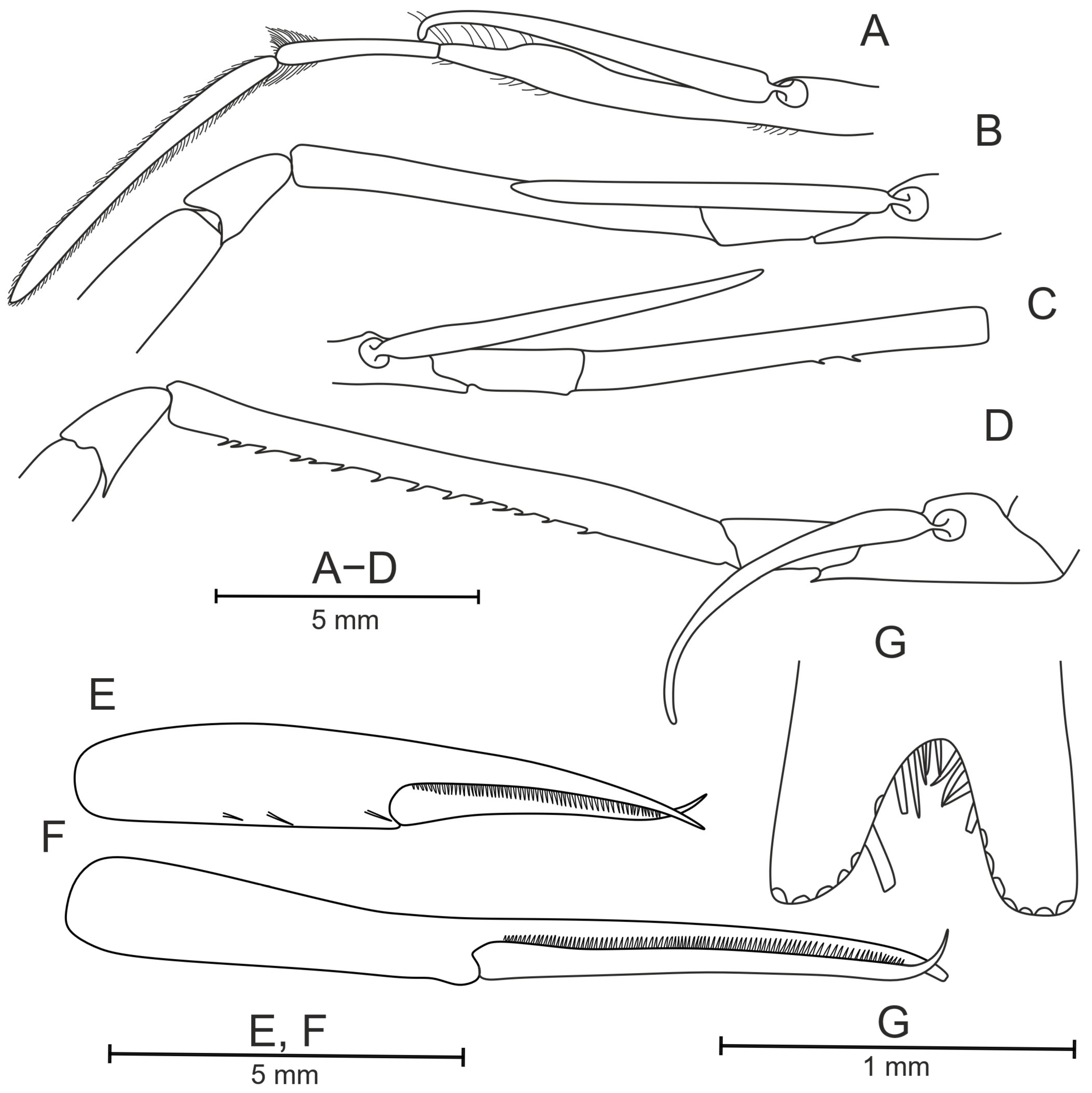 Diversity 17 00656 g018