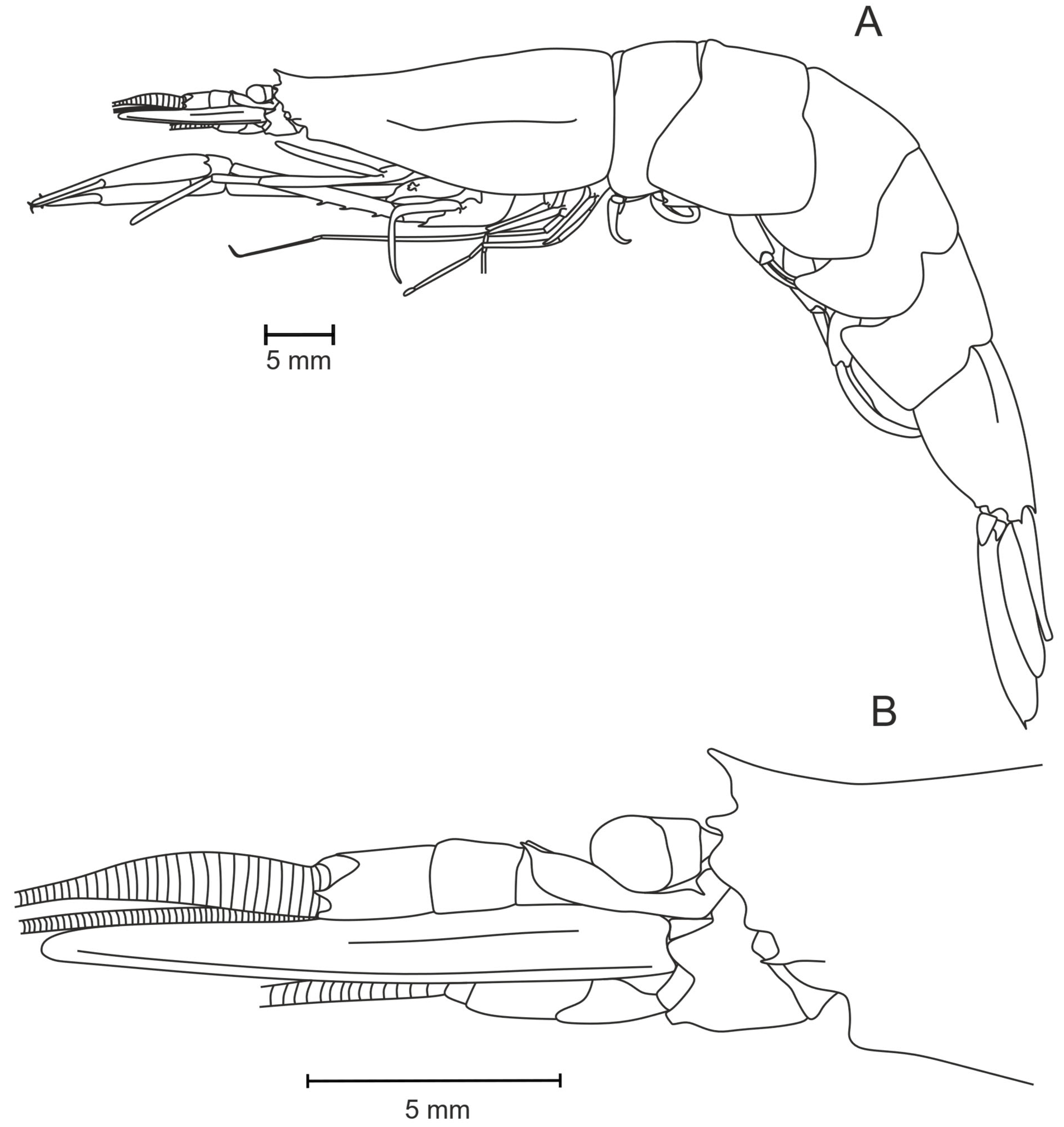 Diversity 17 00656 g020
