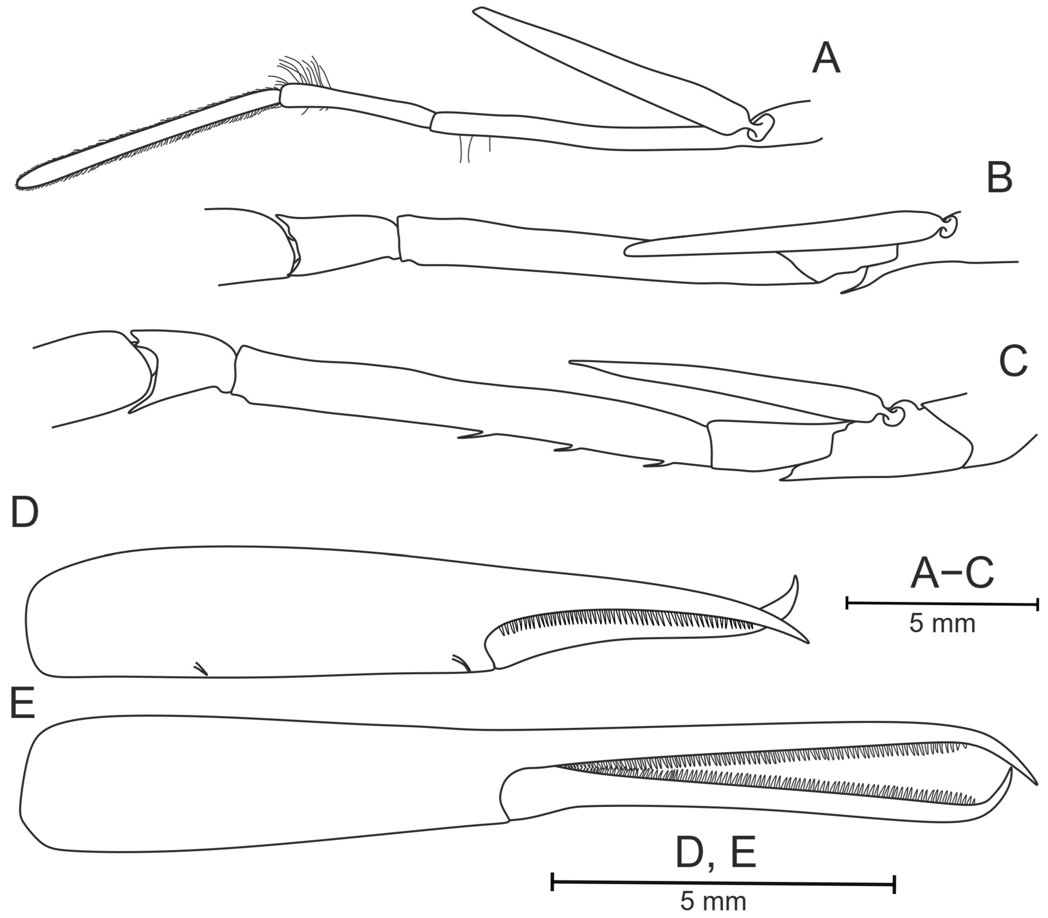 Diversity 17 00656 g022