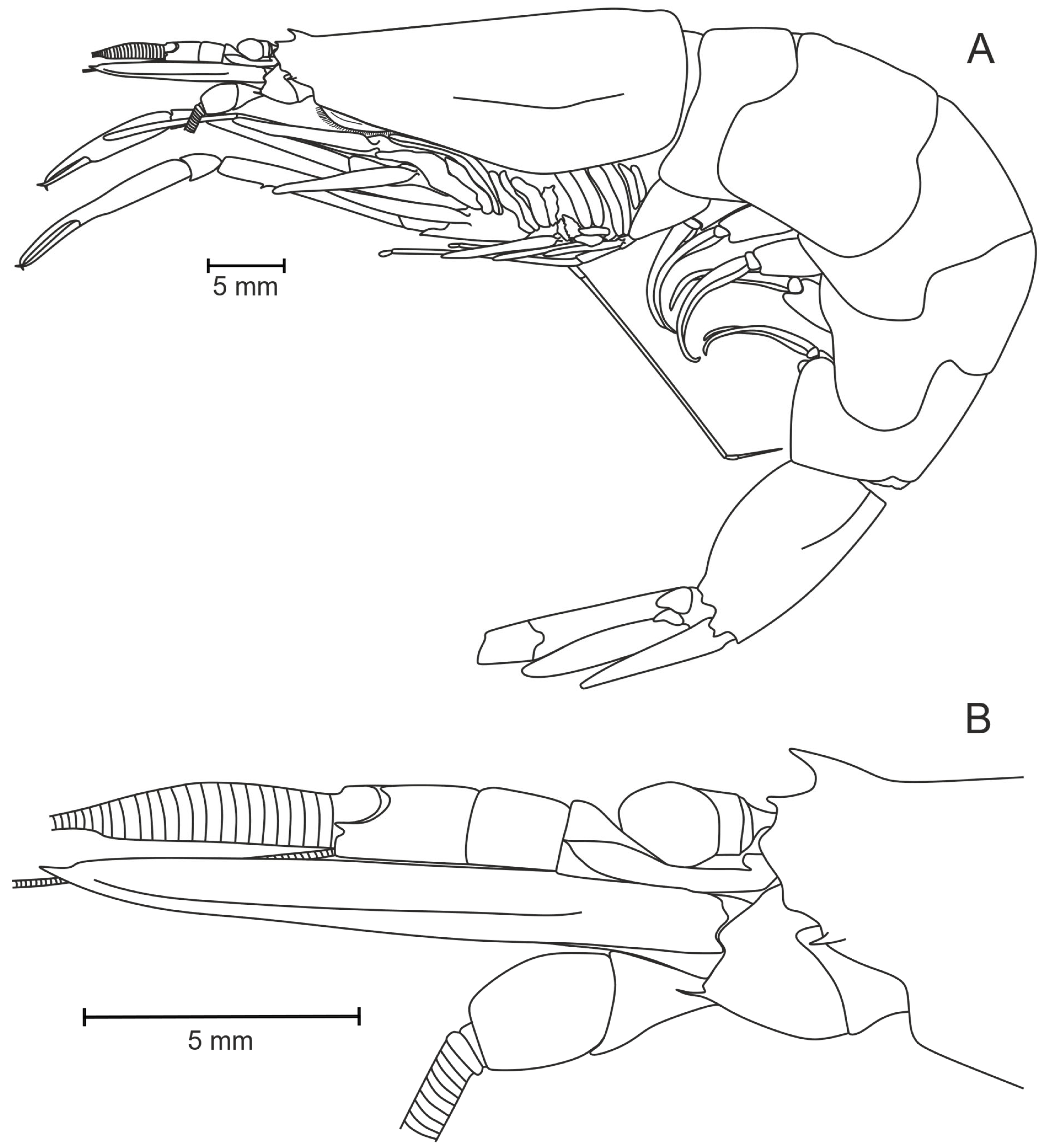 Diversity 17 00656 g023
