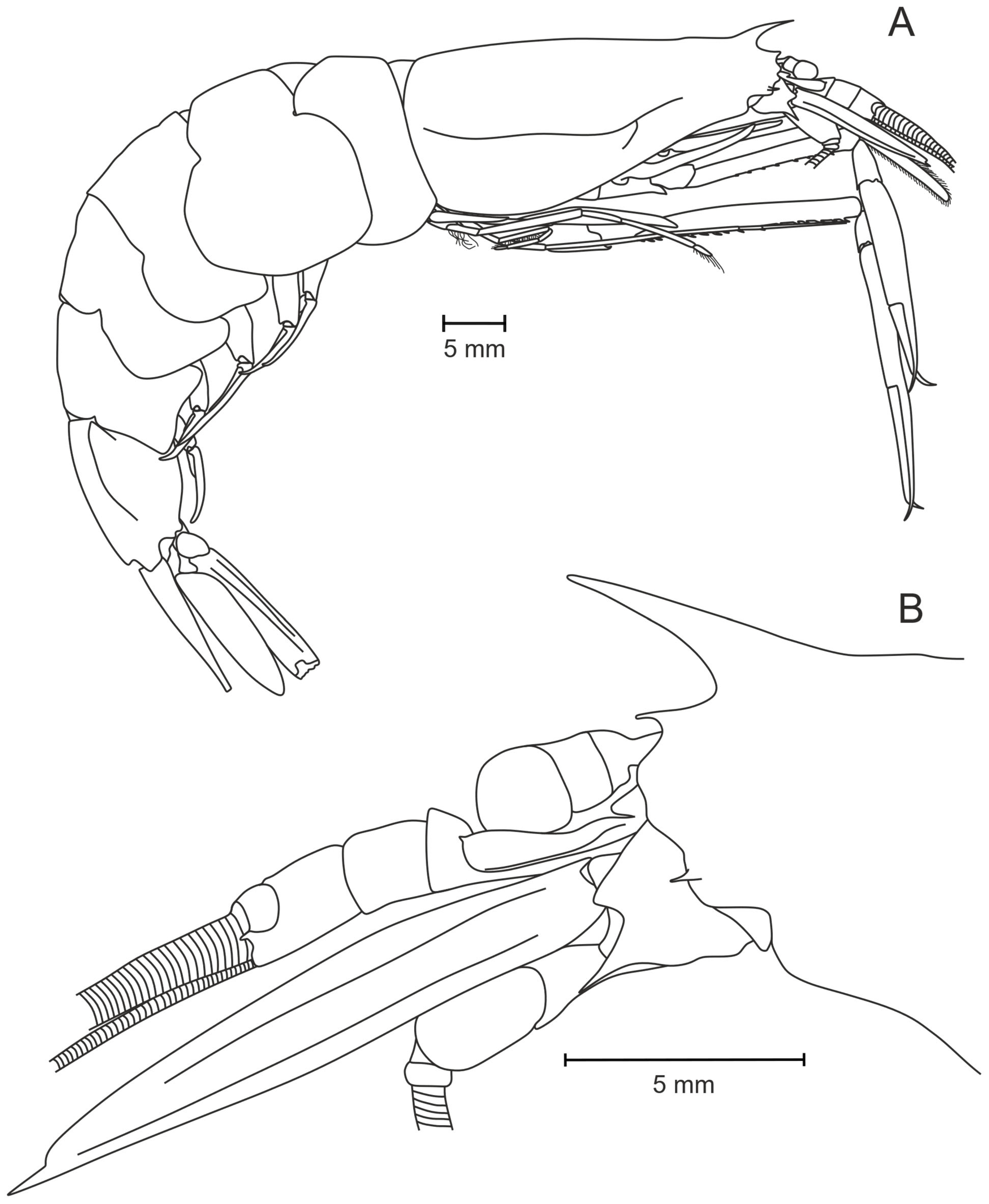 Diversity 17 00656 g026