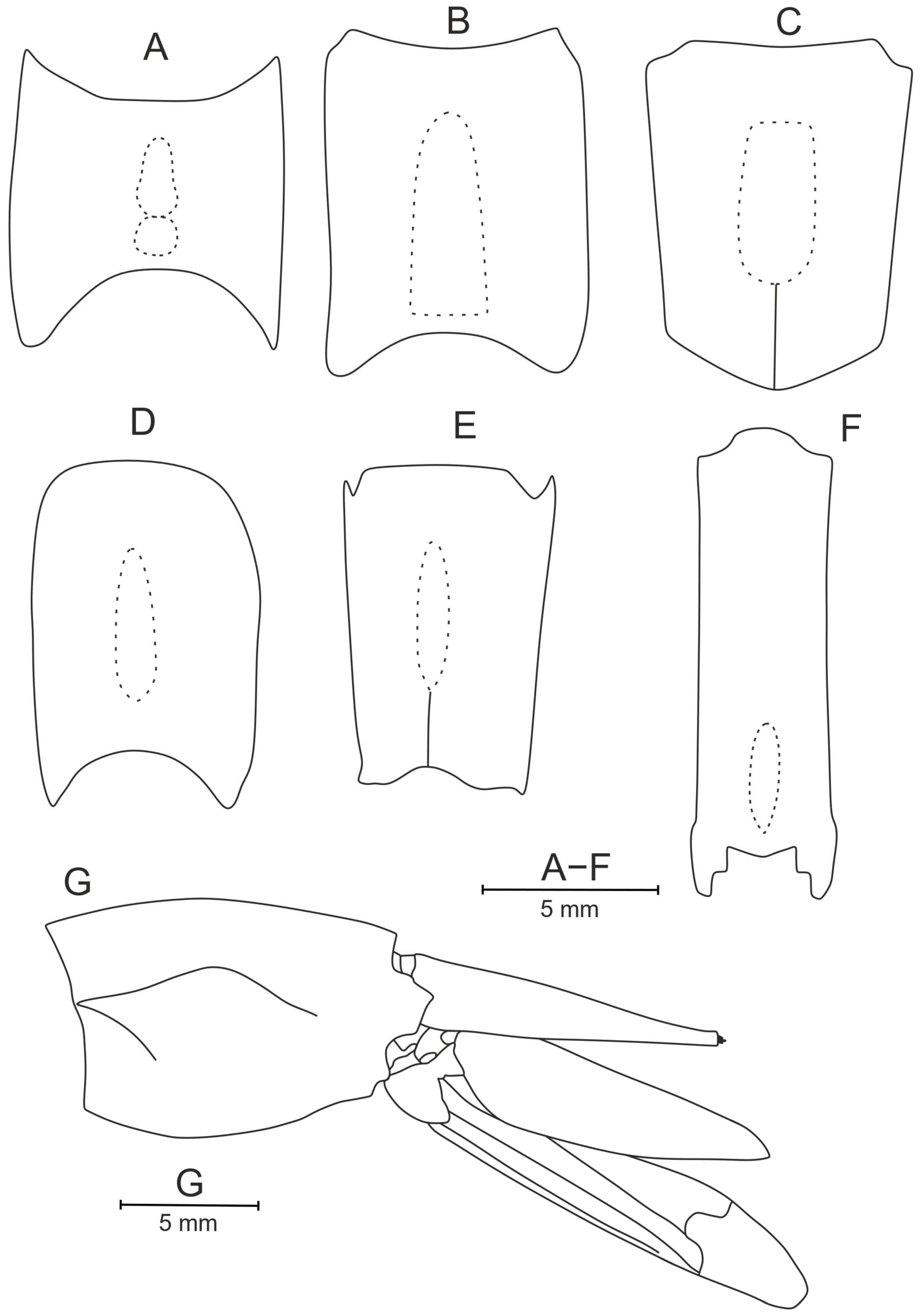 Diversity 17 00656 g027