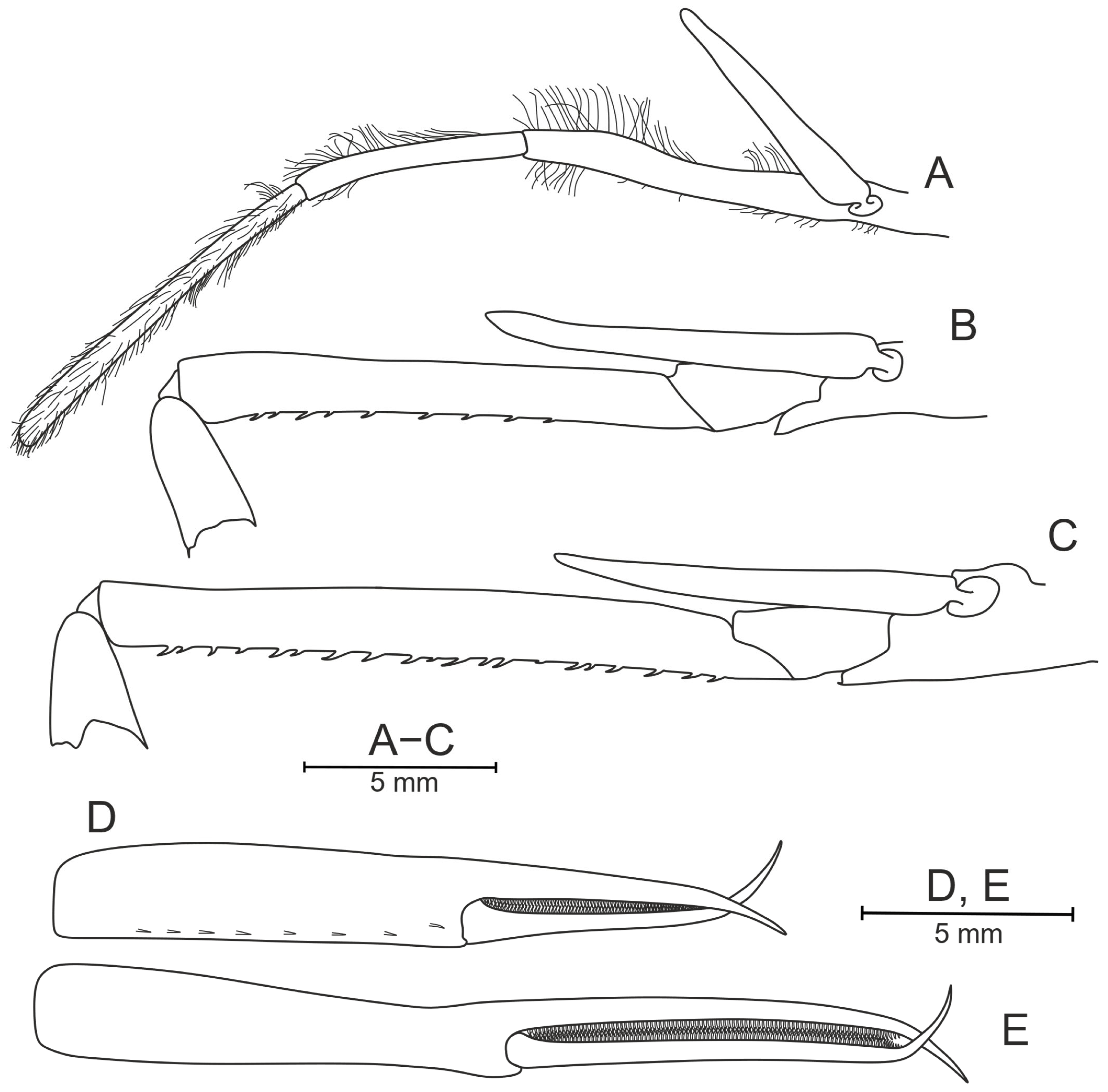Diversity 17 00656 g028