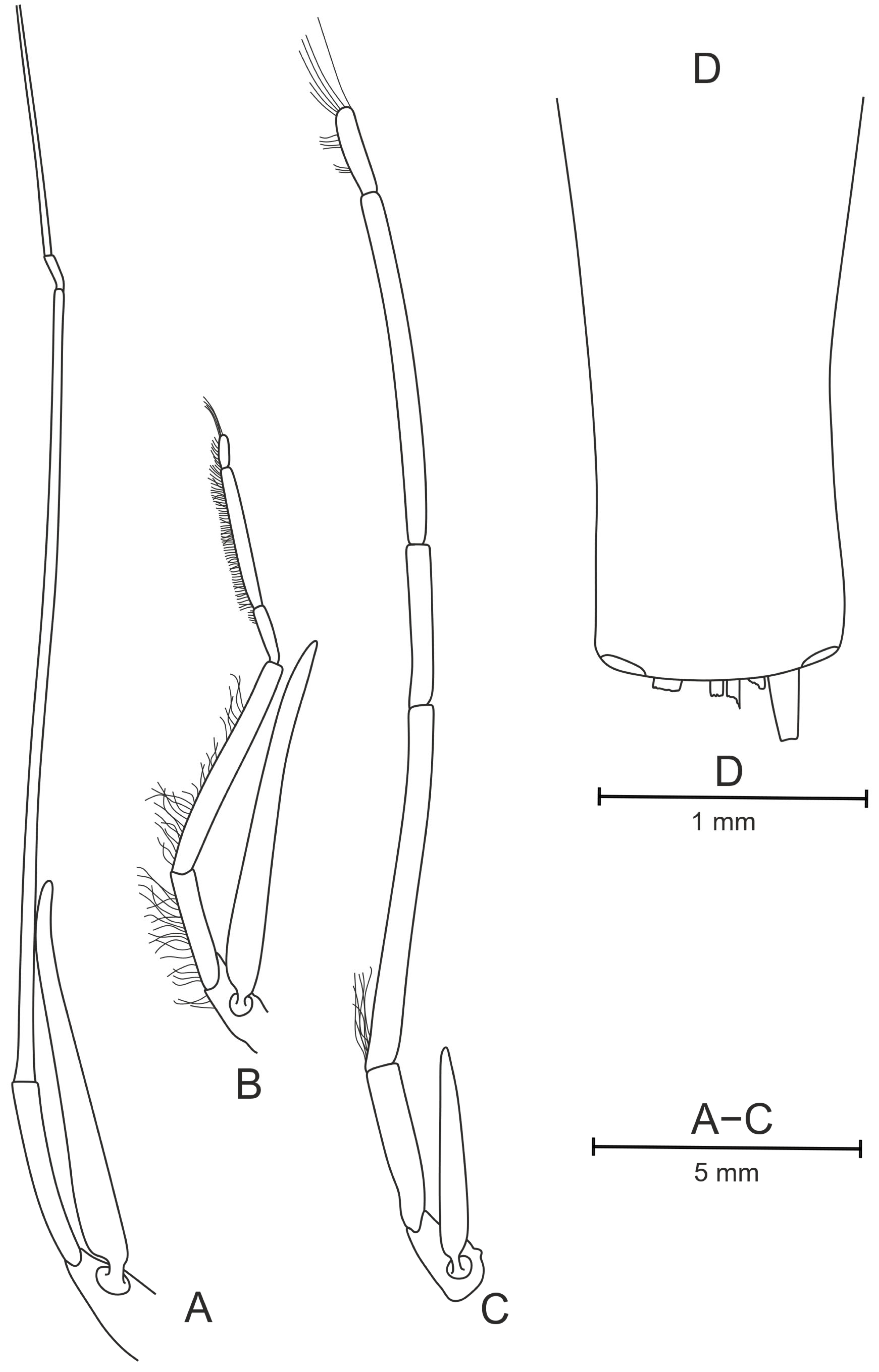 Diversity 17 00656 g029