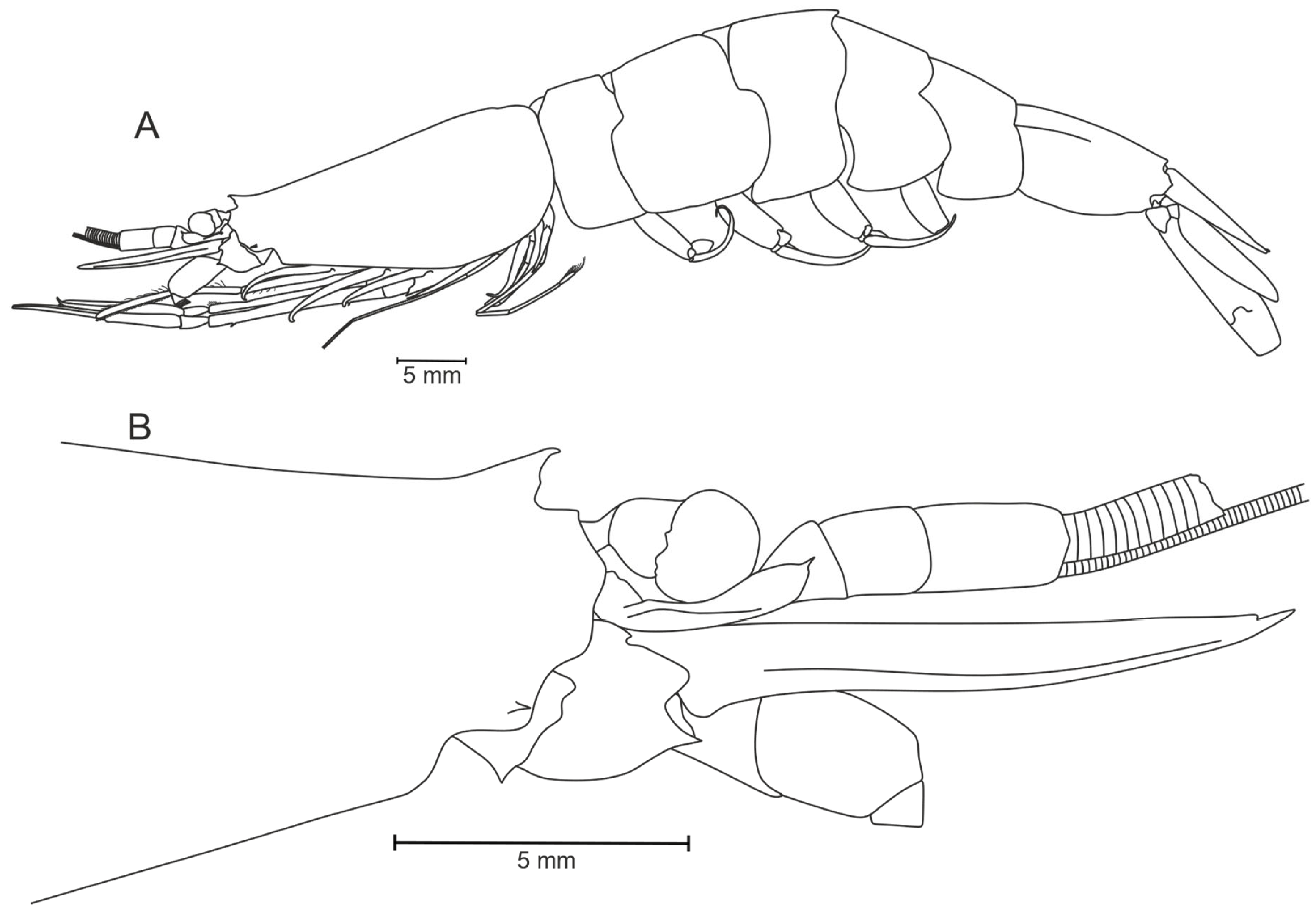 Diversity 17 00656 g031