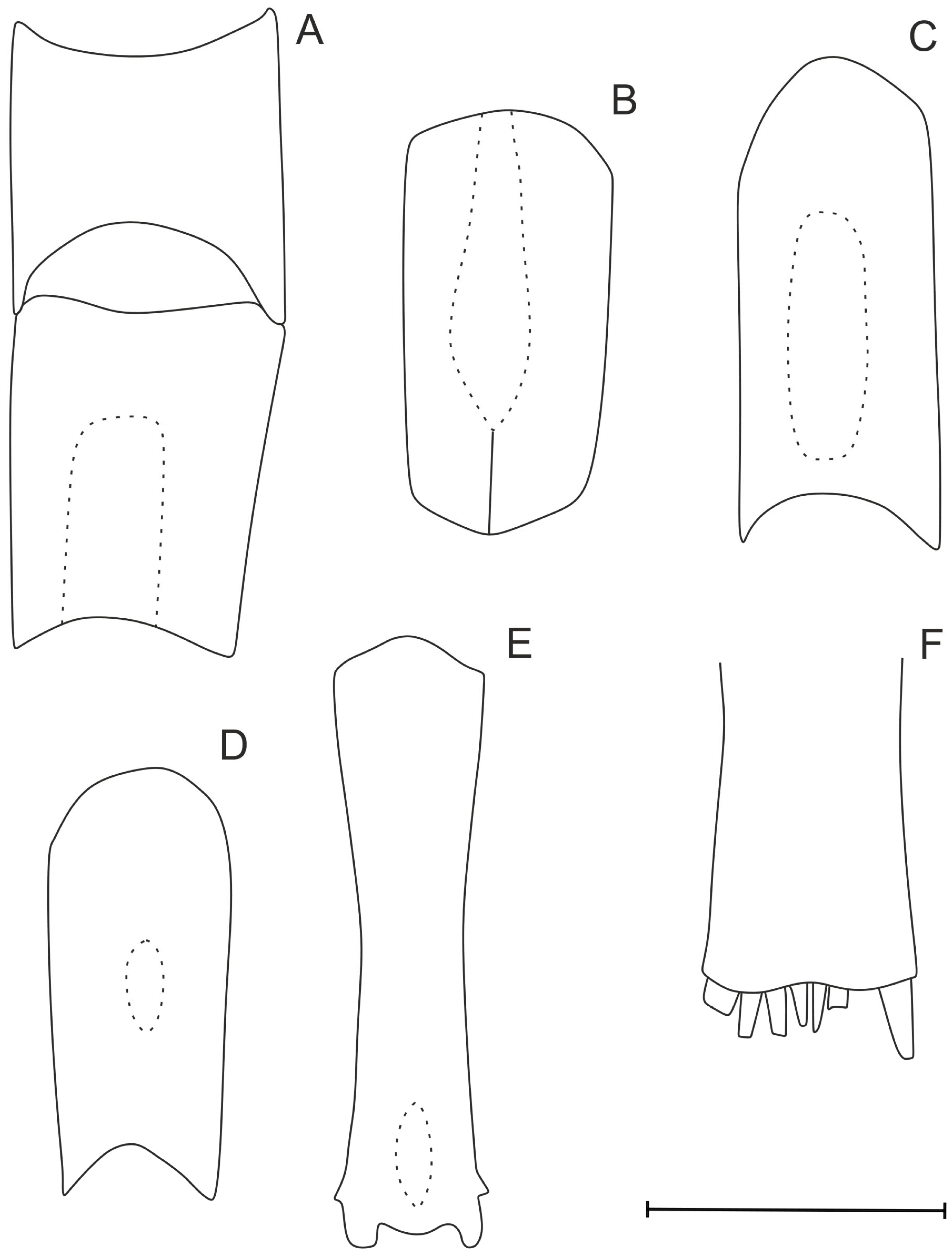 Diversity 17 00656 g036