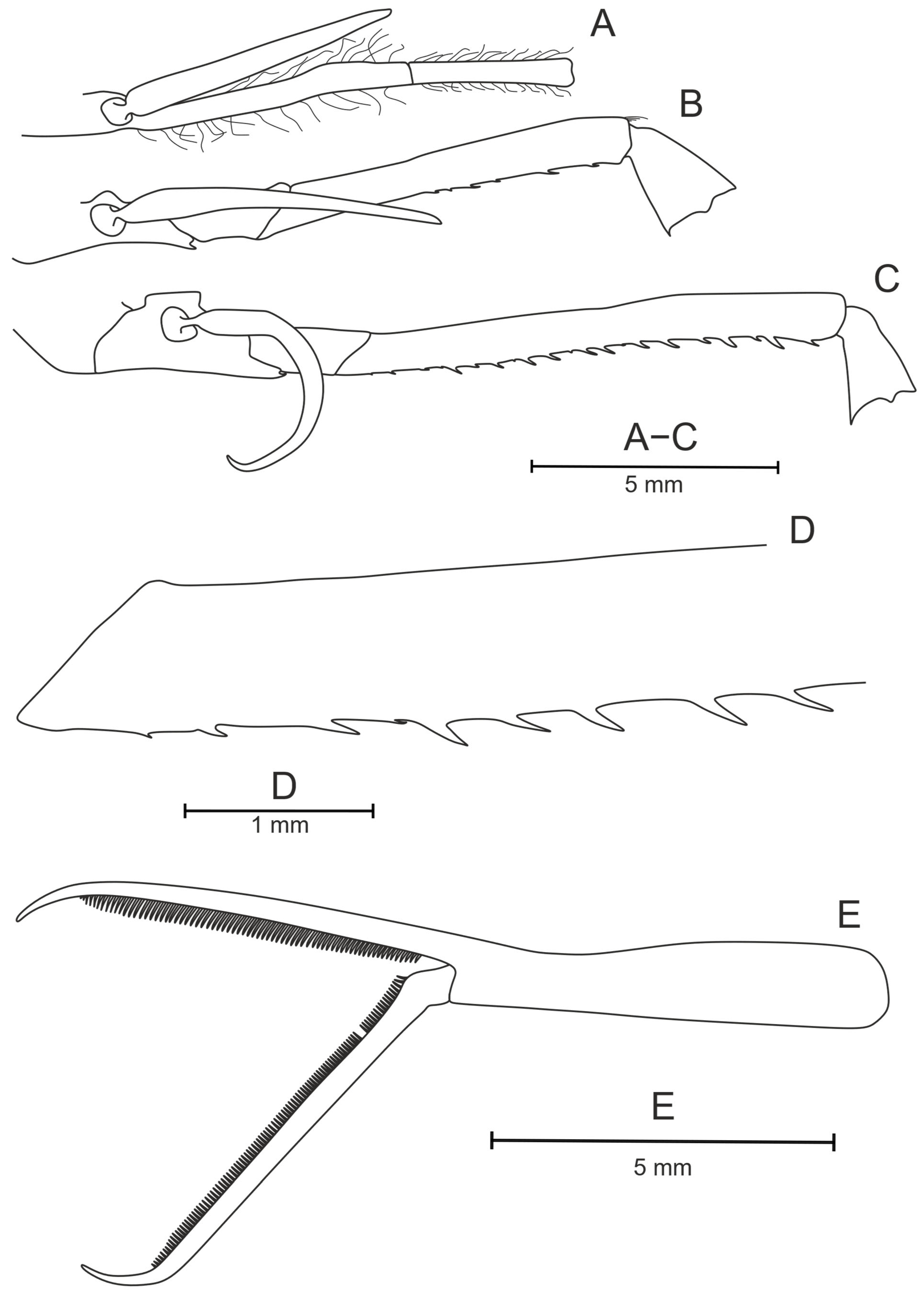 Diversity 17 00656 g037
