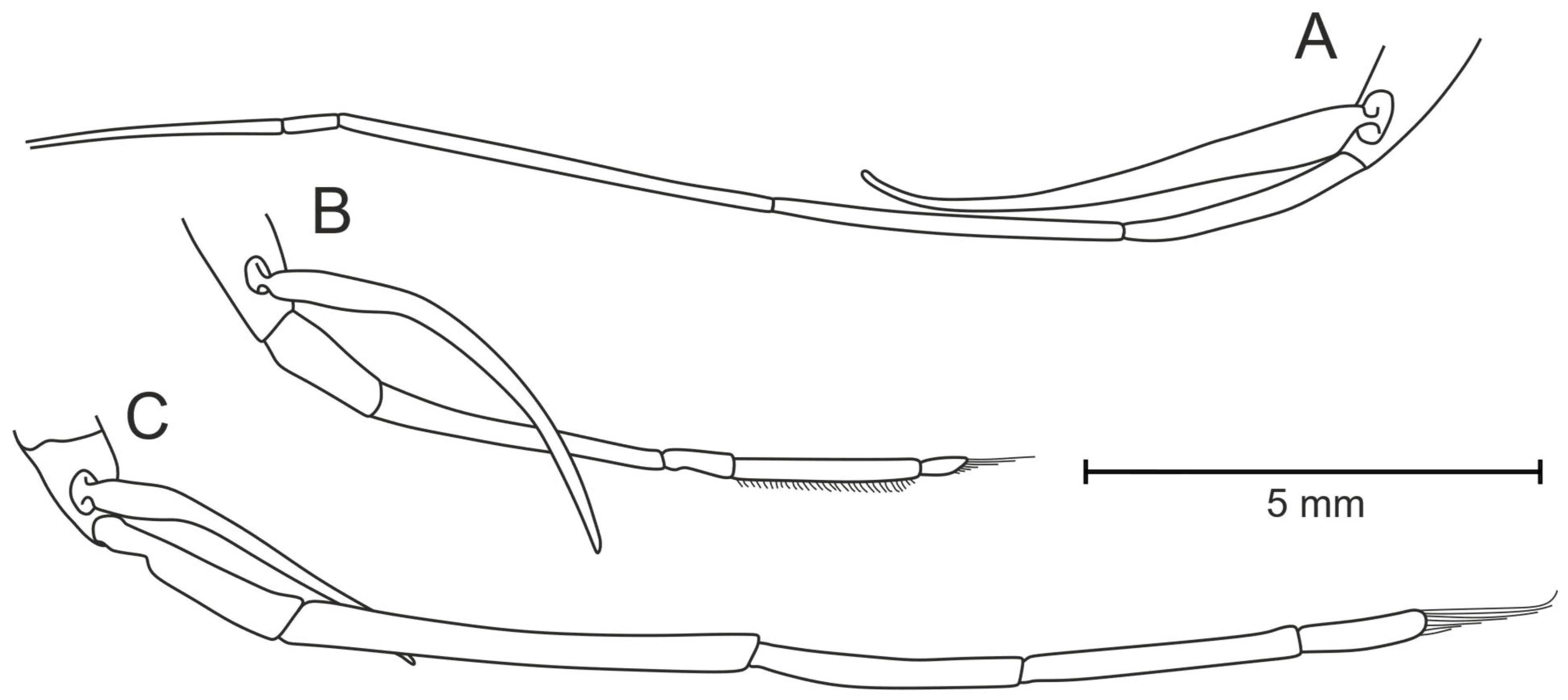 Diversity 17 00656 g038